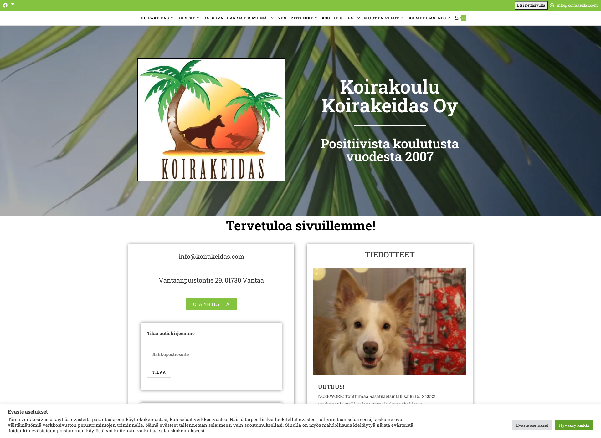 Screenshot for koirakeidas.com