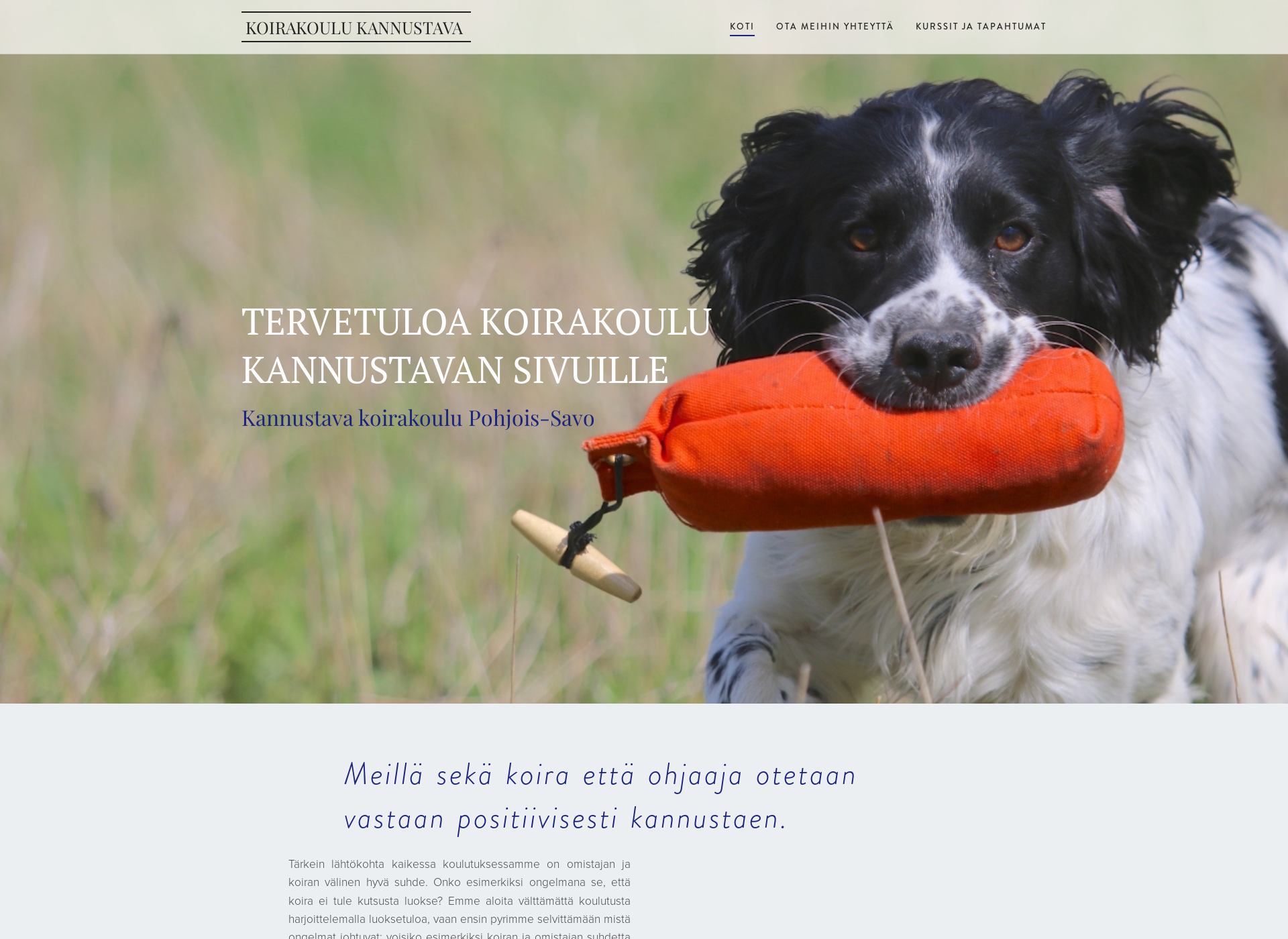 Screenshot for koirakoulukannustava.fi