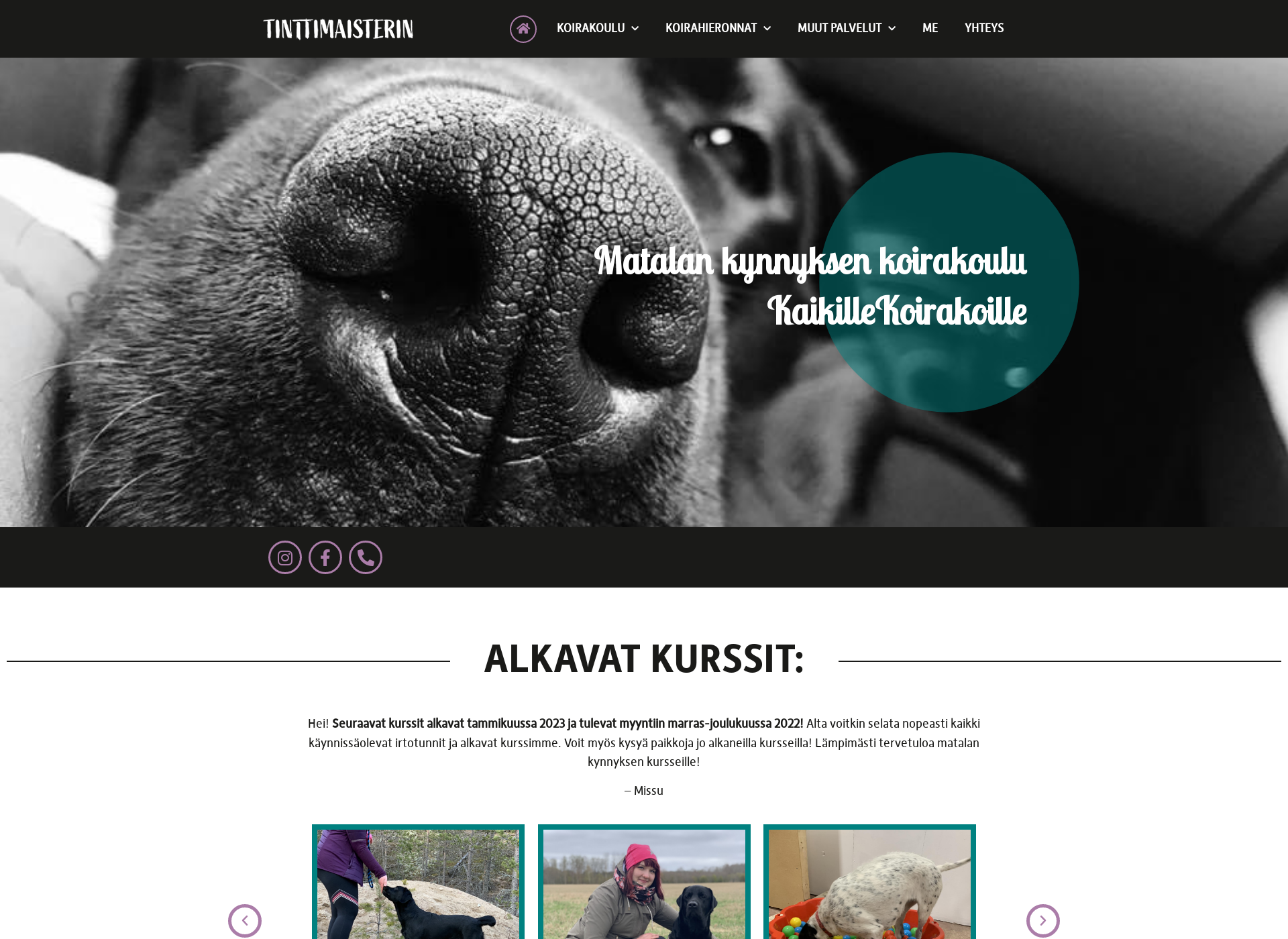 Skärmdump för koirakoulutinttimaisterin.fi