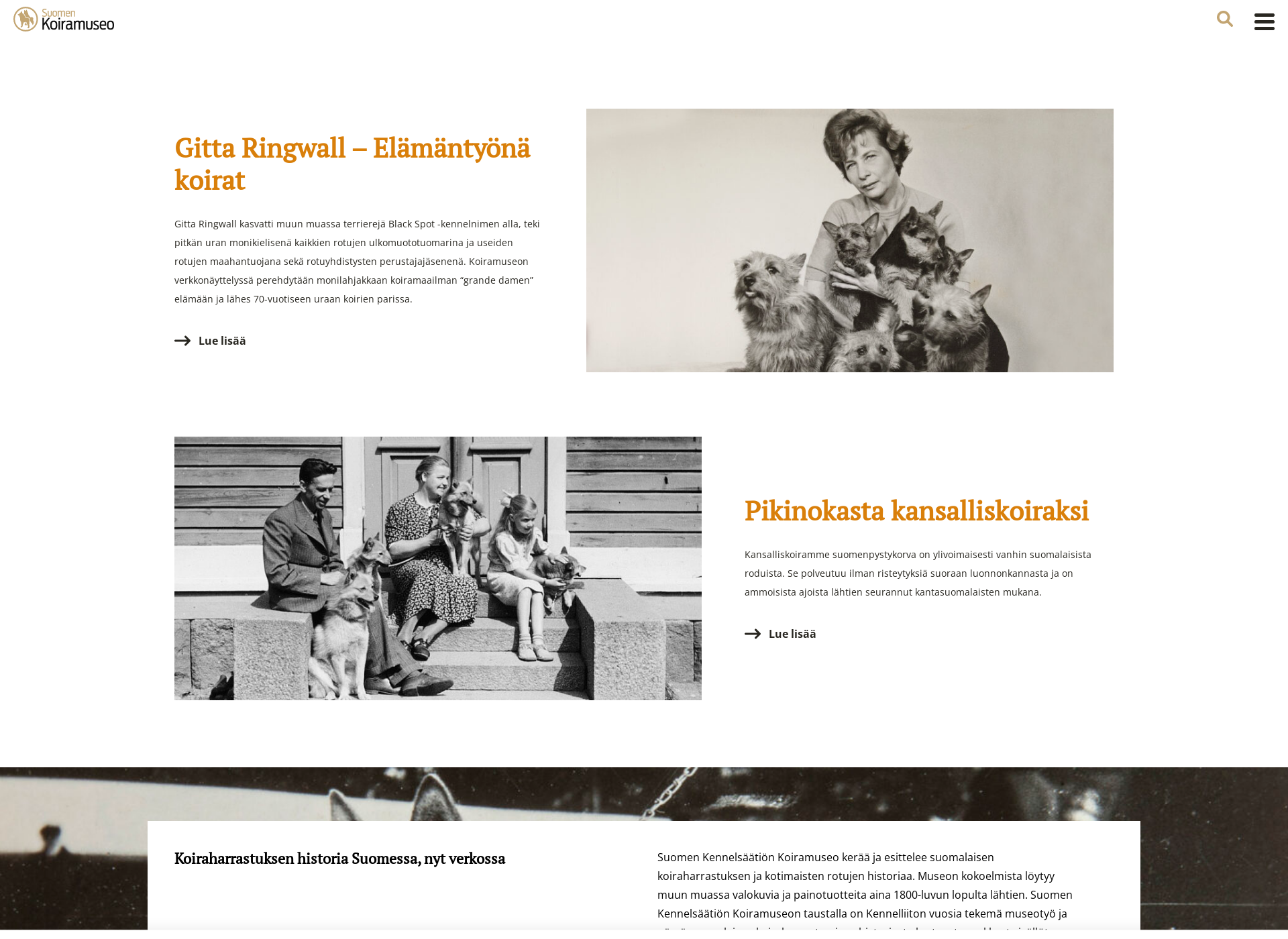 Skärmdump för koiramuseo.fi