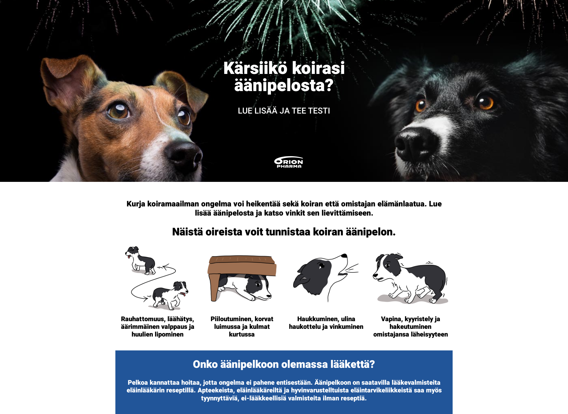 Skärmdump för koiranaanipelko.fi