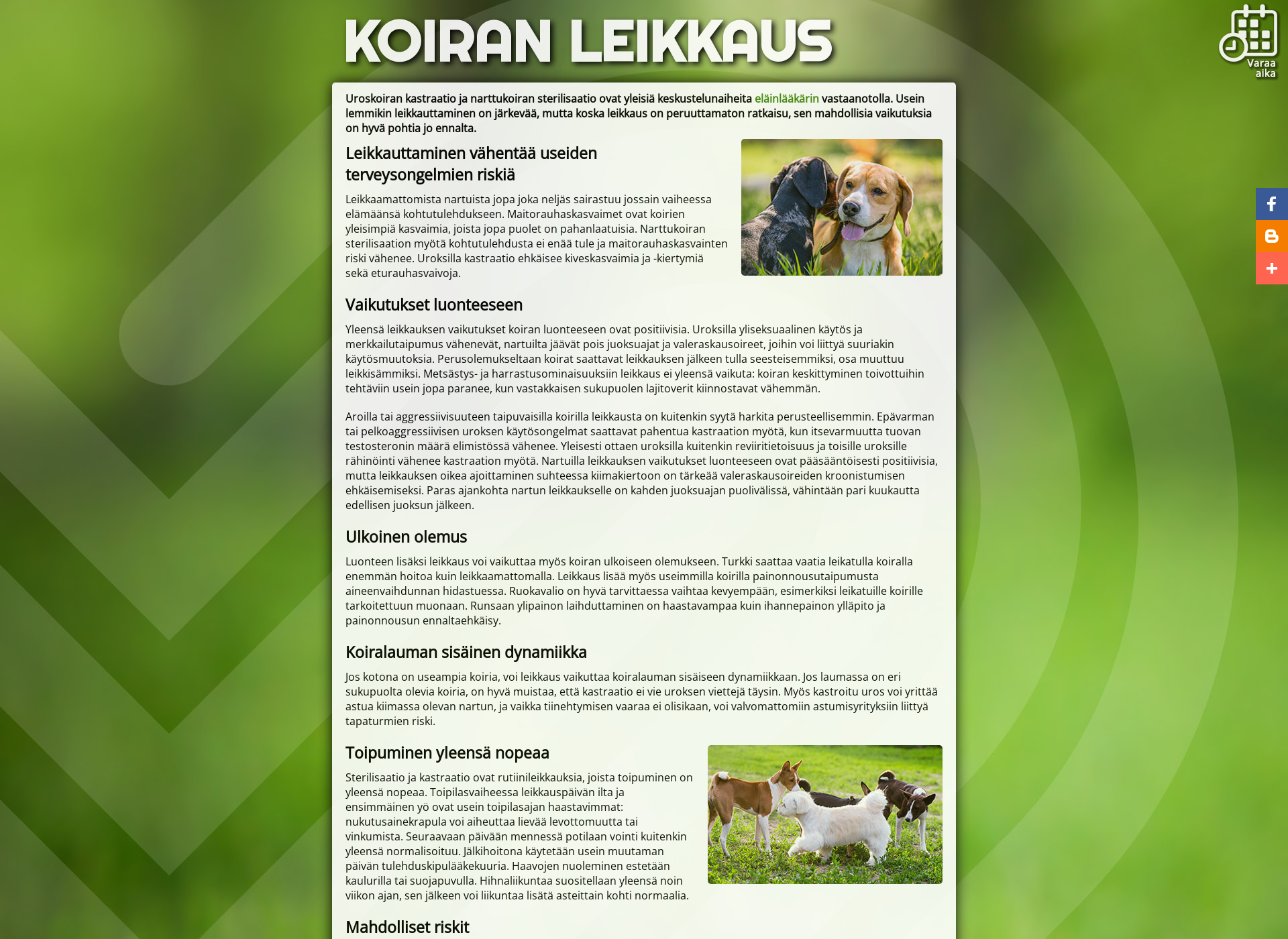 Skärmdump för koiranleikkaus.fi
