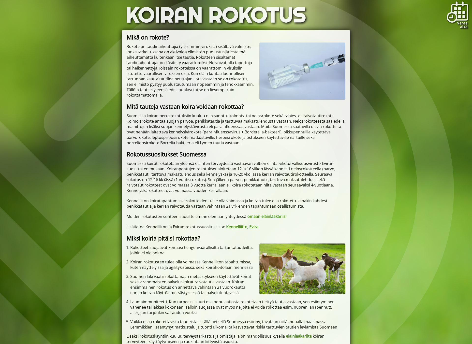 Screenshot for koiranrokotus.fi