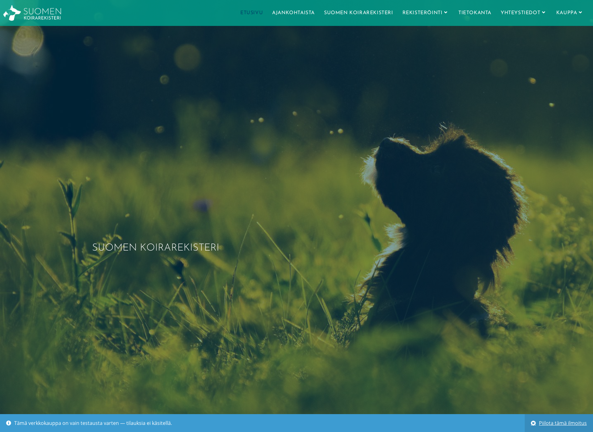 Screenshot for koirarekisteri.fi