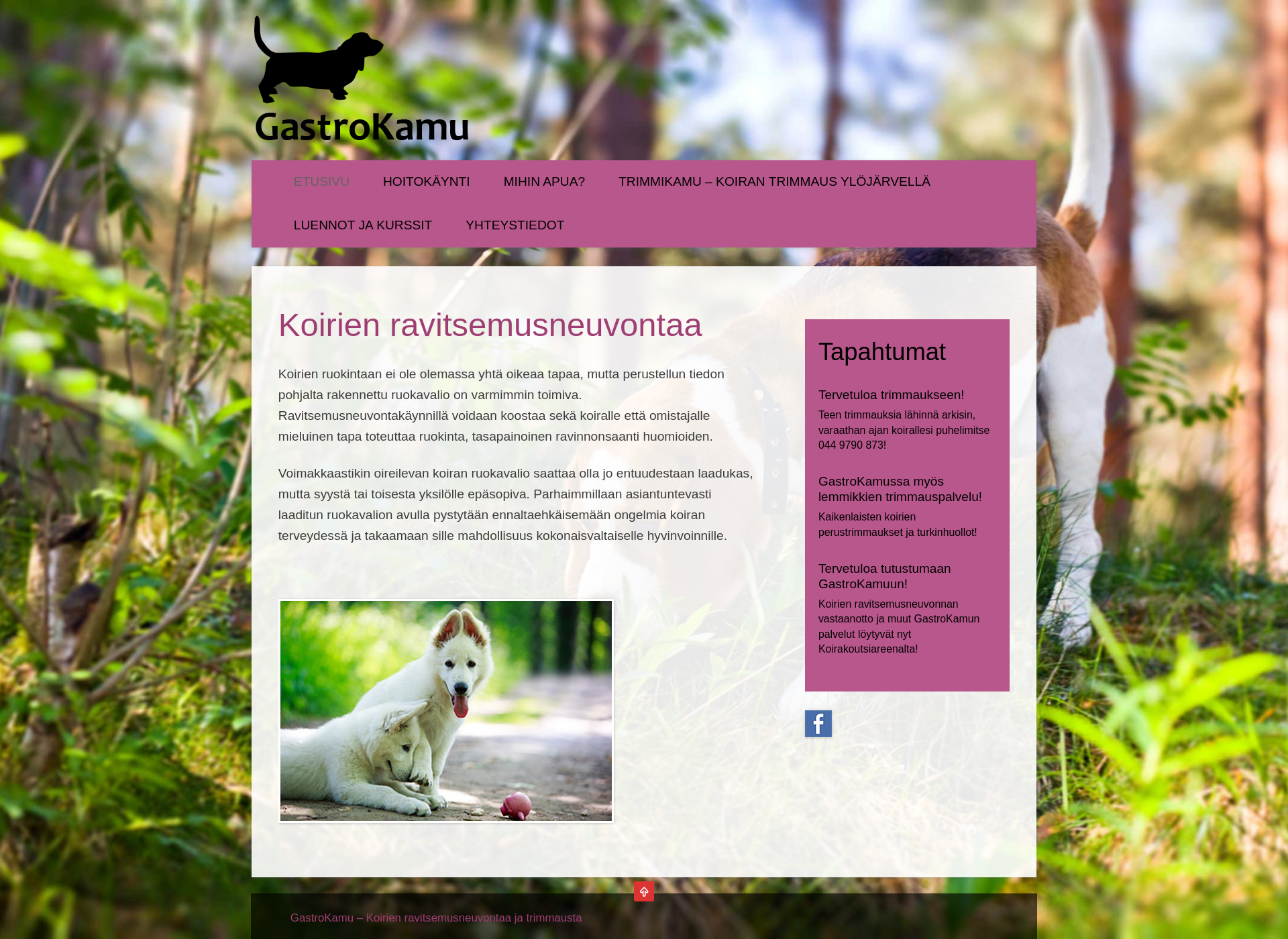 Skärmdump för koirien-ravitsemusneuvonta-tattari.fi