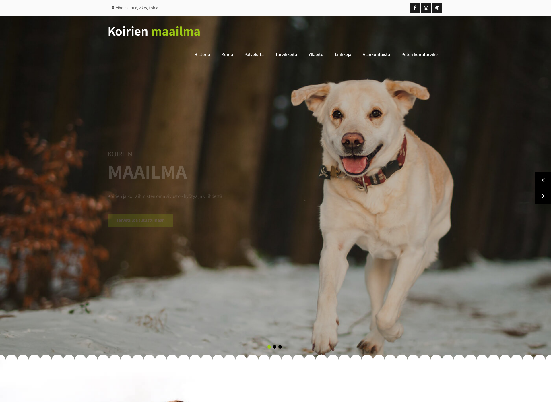 Screenshot for koirienmaailma.fi