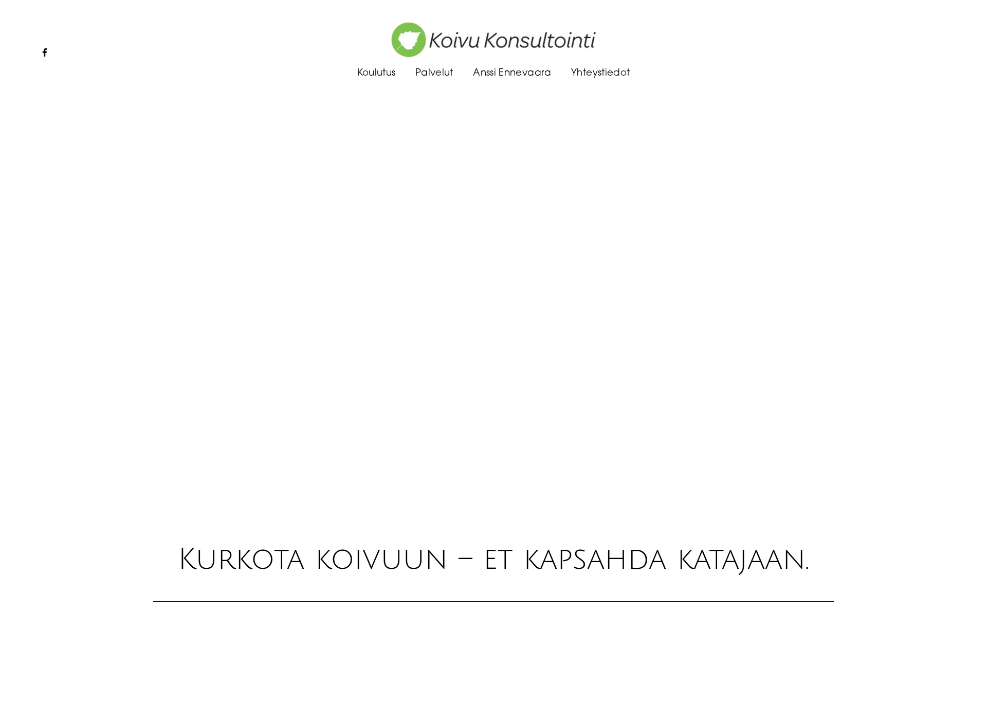 Screenshot for koivukonsultointi.fi