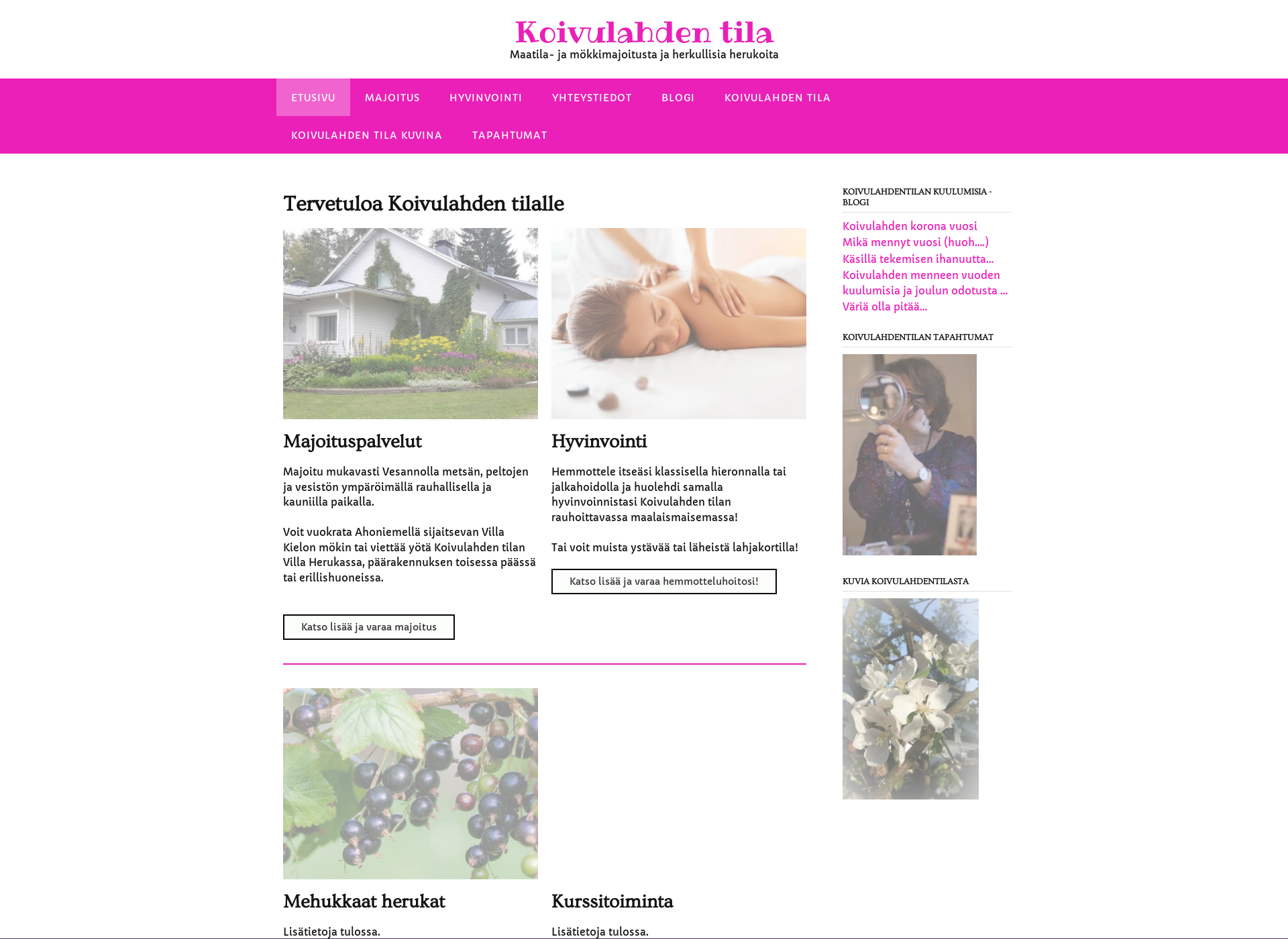 Screenshot for koivulahdentila.fi