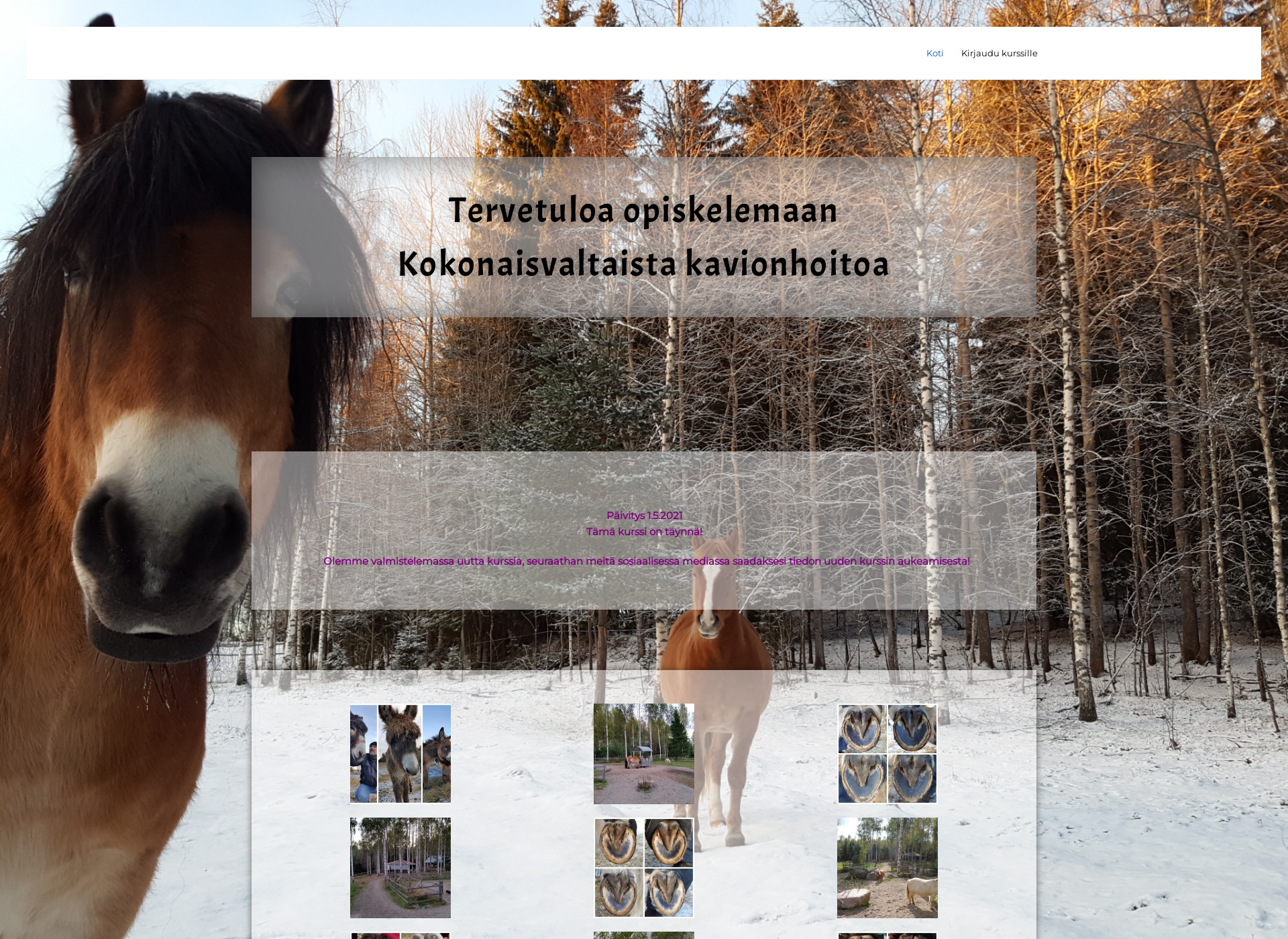 Screenshot for kokonaisvaltainenkavionhoito.fi