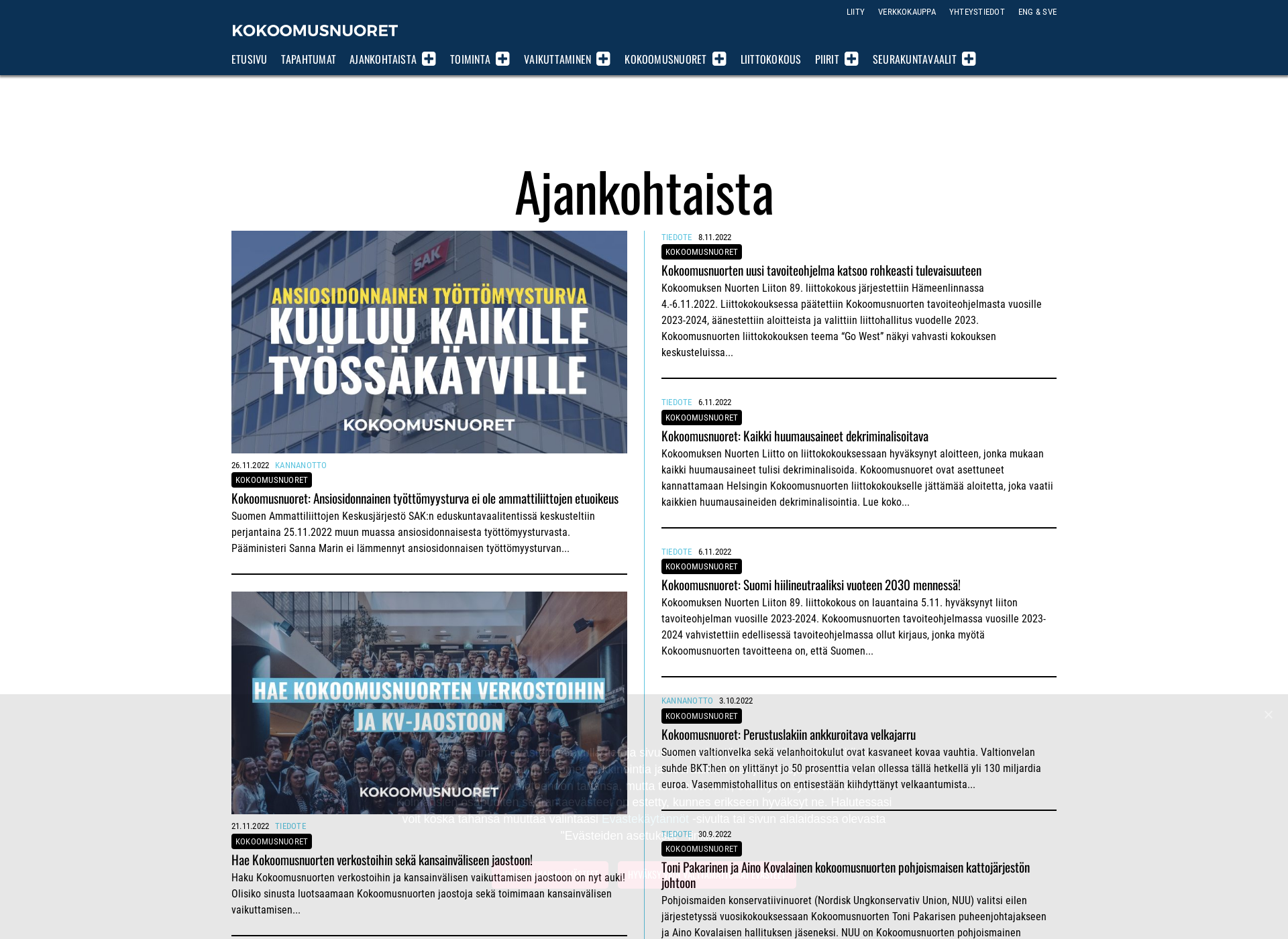 Screenshot for kokoomusnuoret.fi