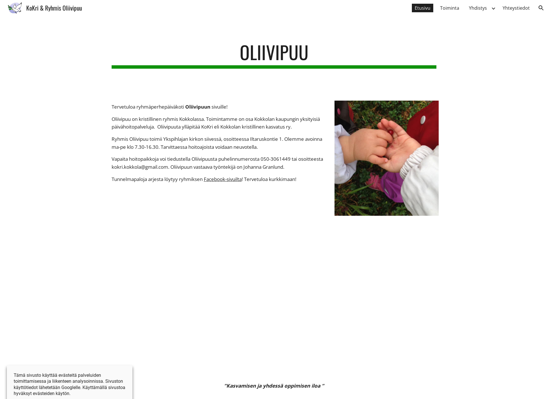 Screenshot for kokri.fi
