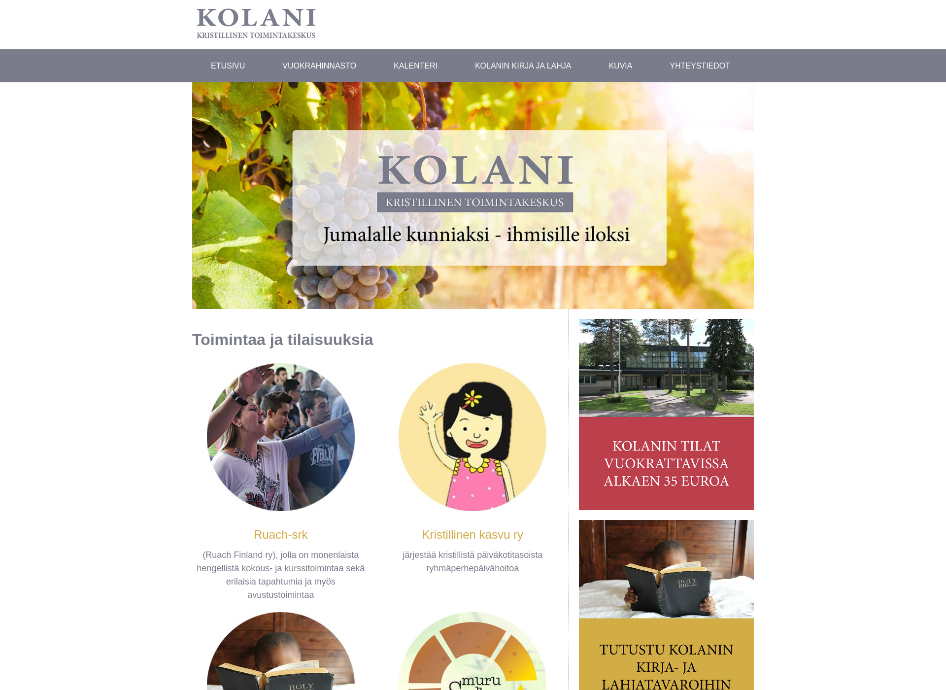 Screenshot for kolani.fi