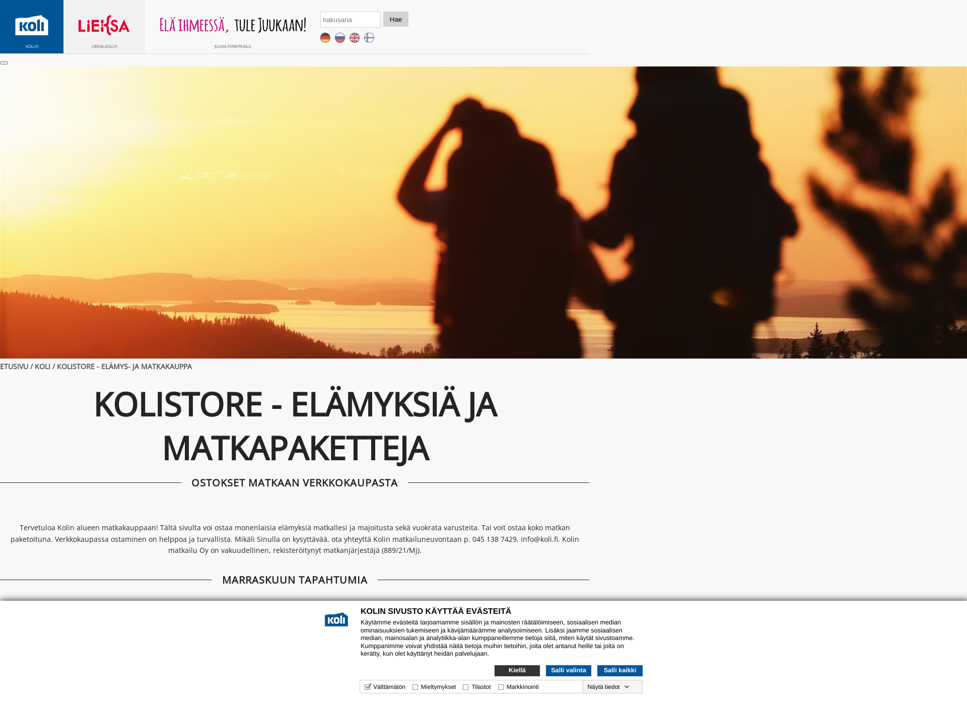 Skärmdump för kolistore.fi