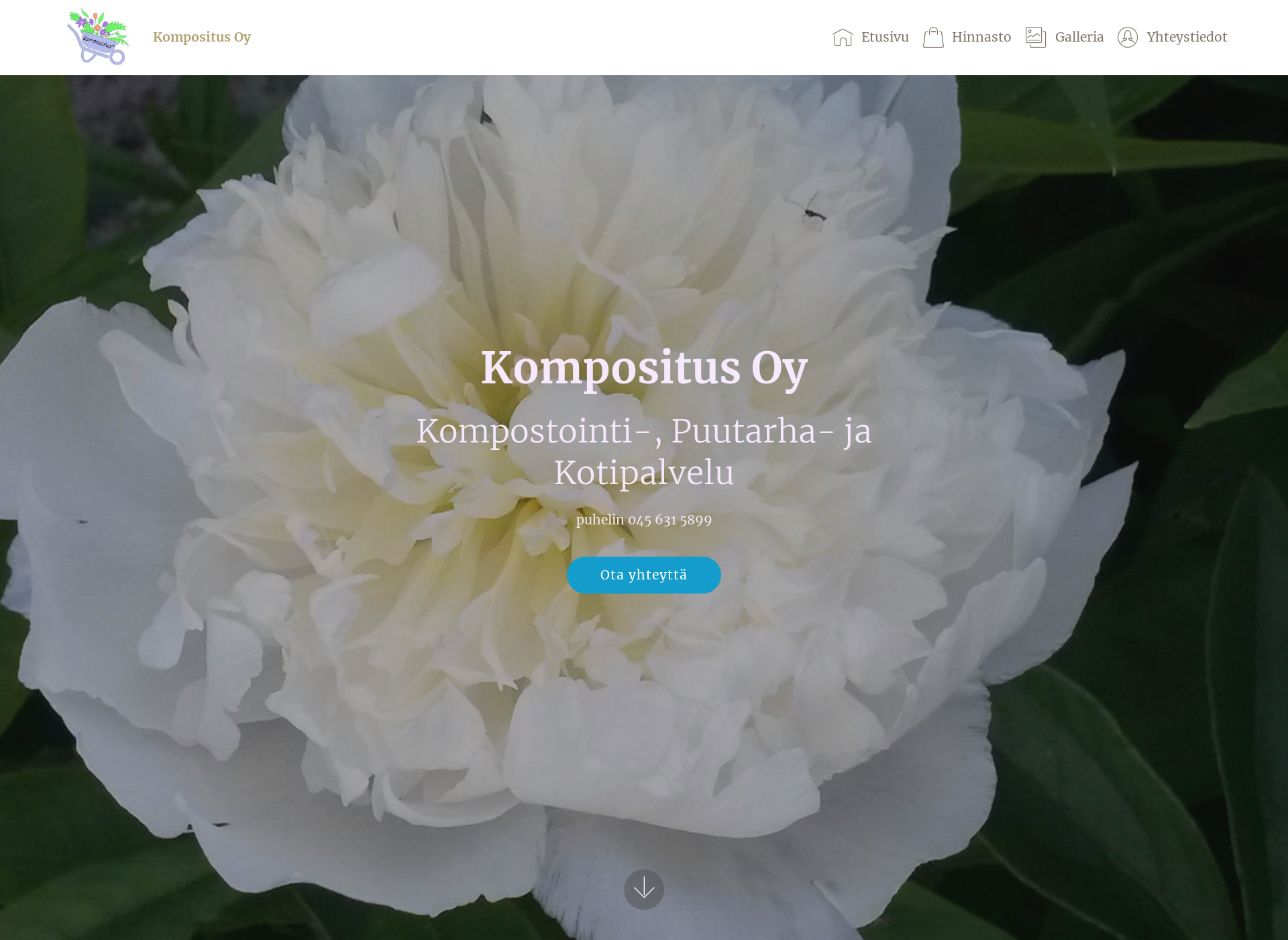 Screenshot for kompositus.fi