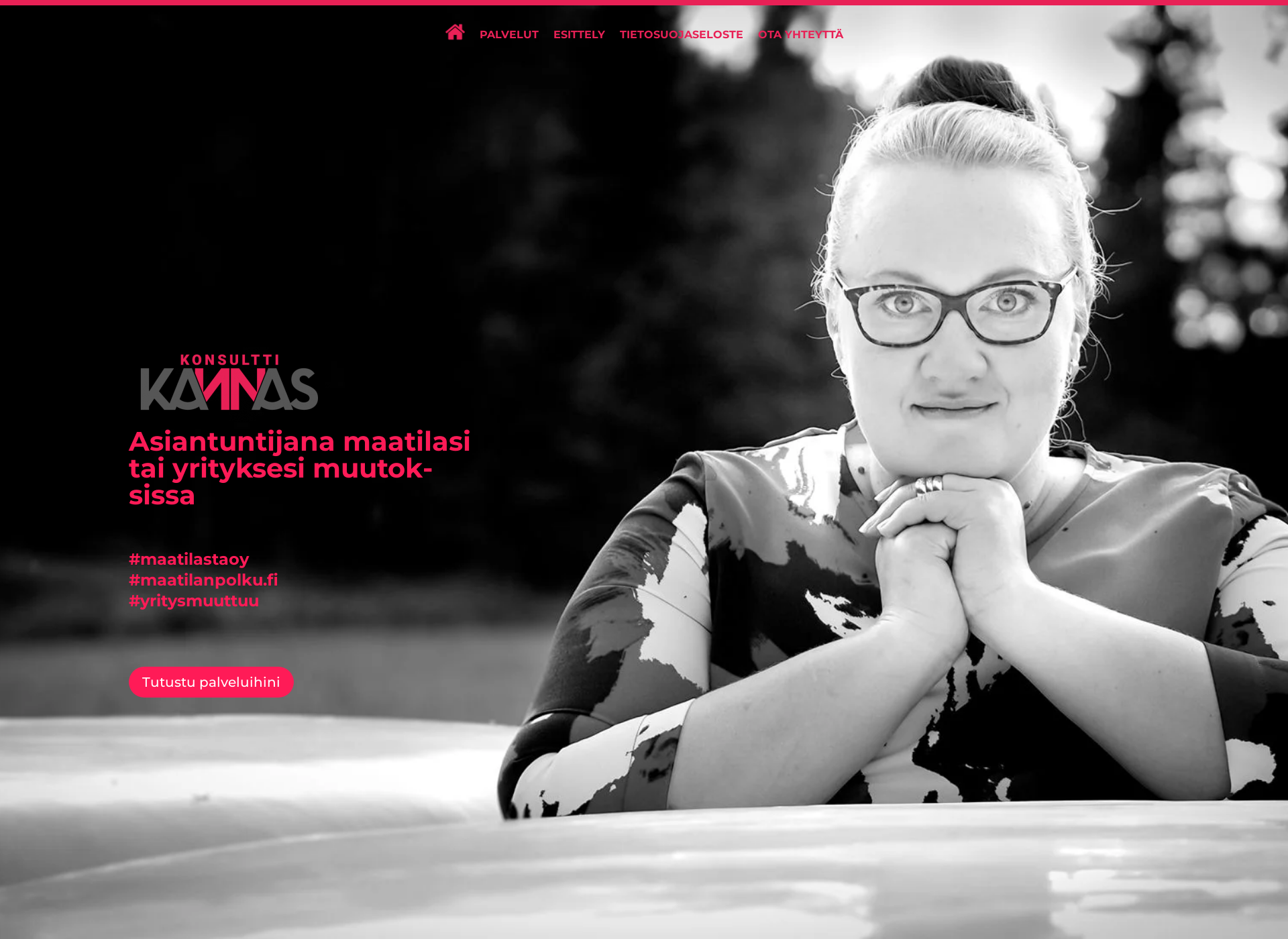 Screenshot for konsulttikannas.fi