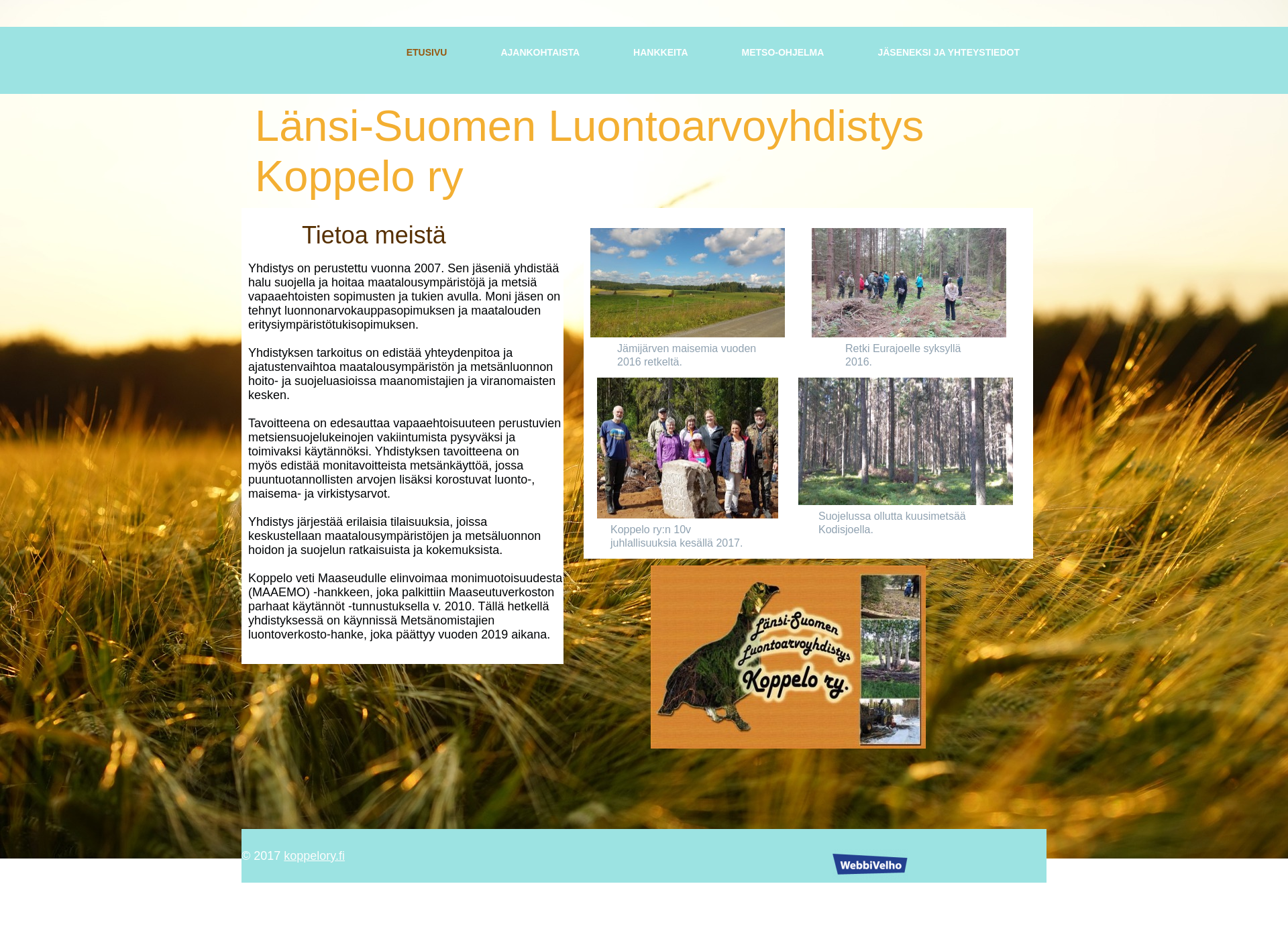 Screenshot for koppelory.fi