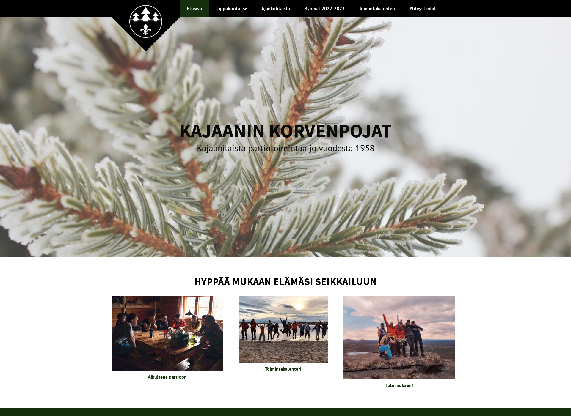 Screenshot for korvenpojat.fi
