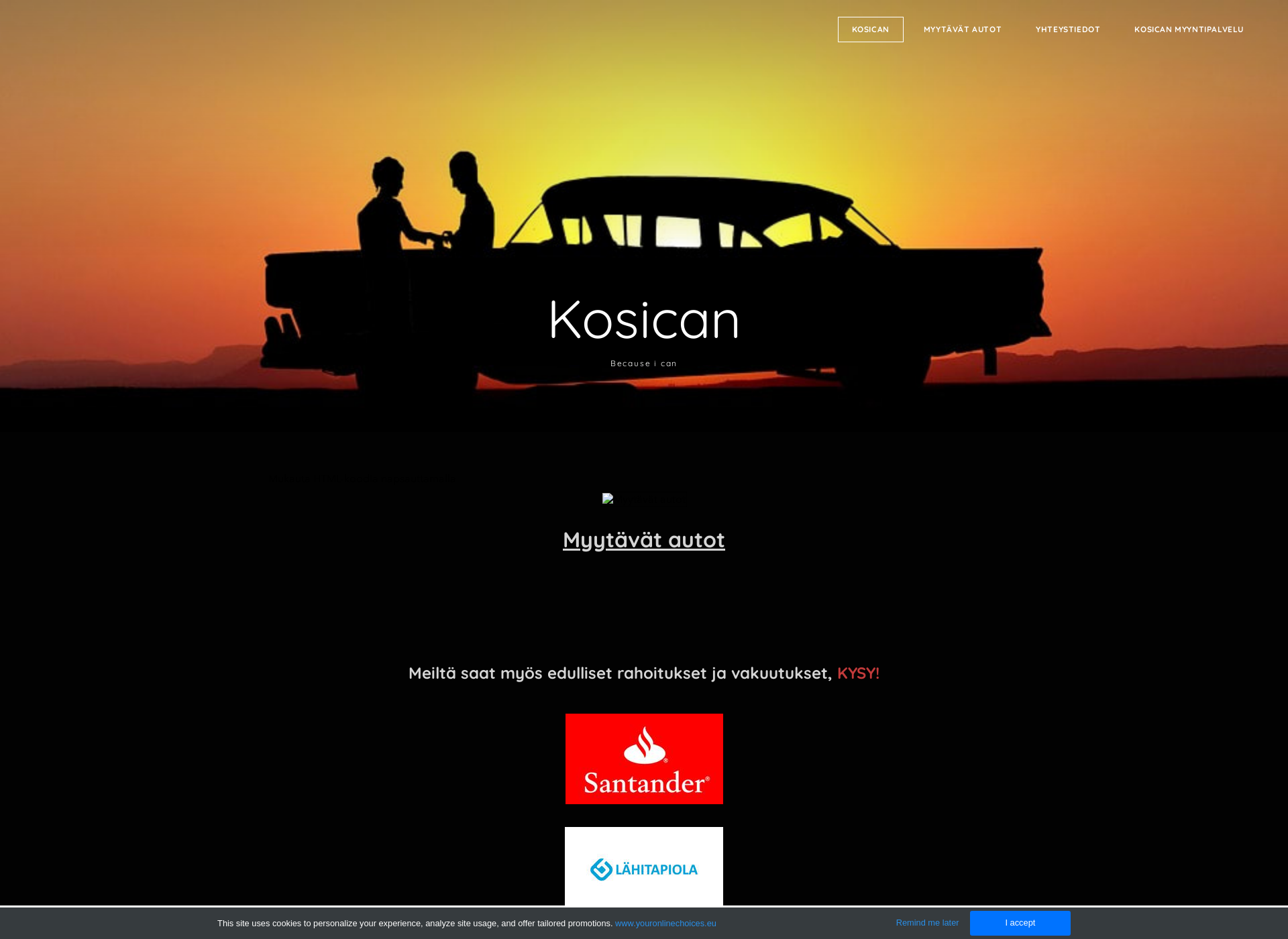 Screenshot for kosican.fi