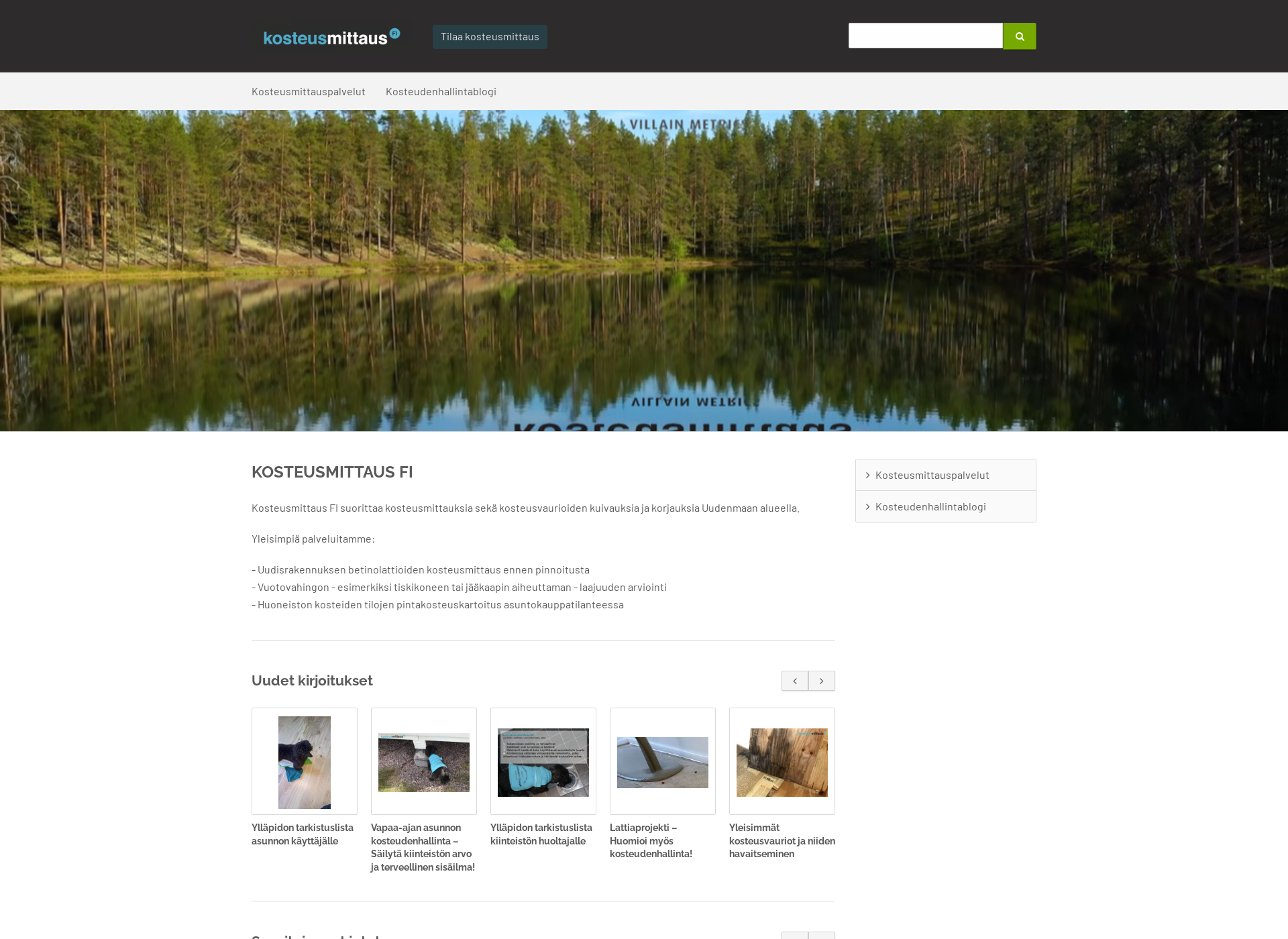 Screenshot for kosteus-mittaus.fi