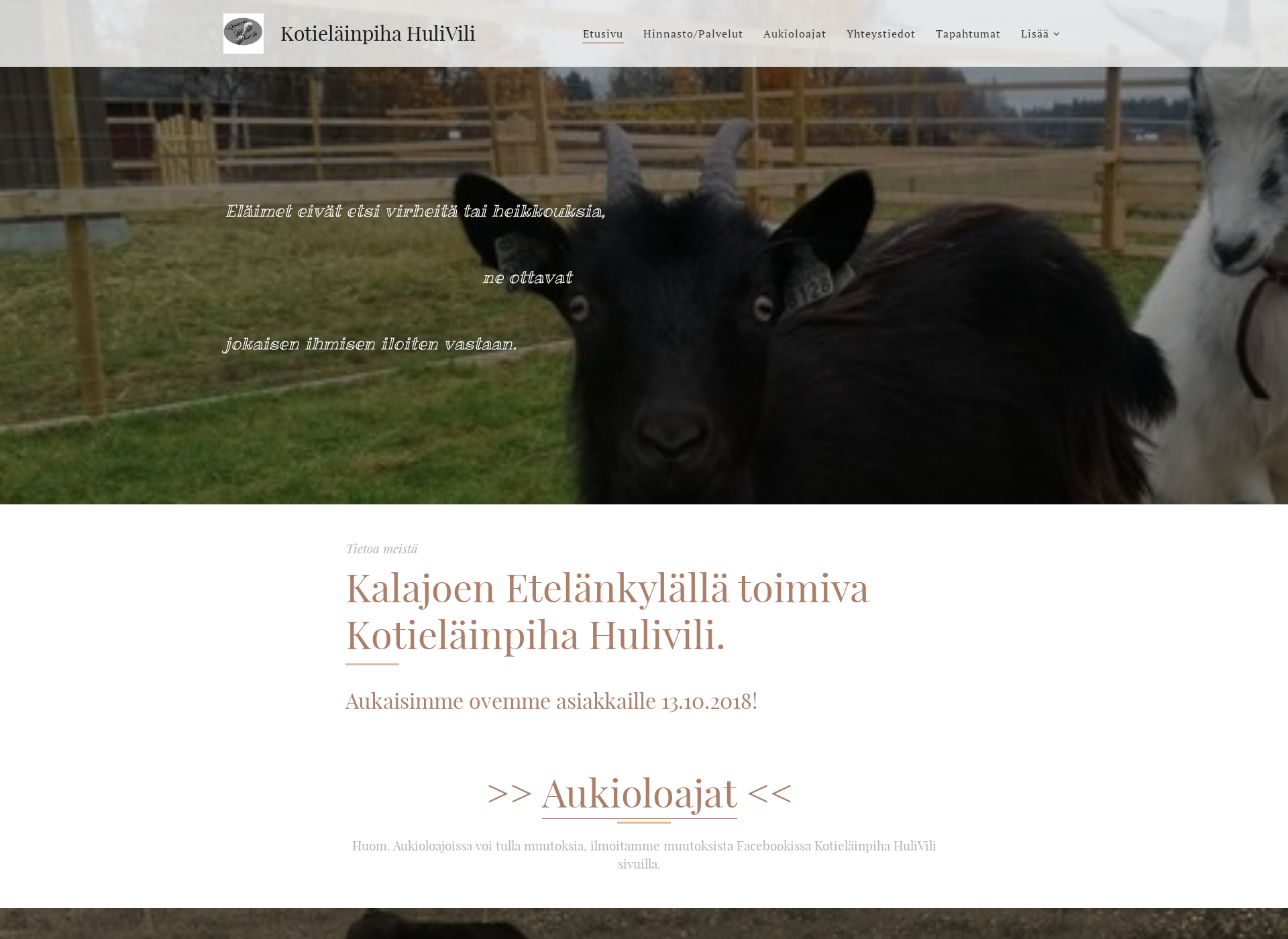 Screenshot for kotielainpihahulivili.fi