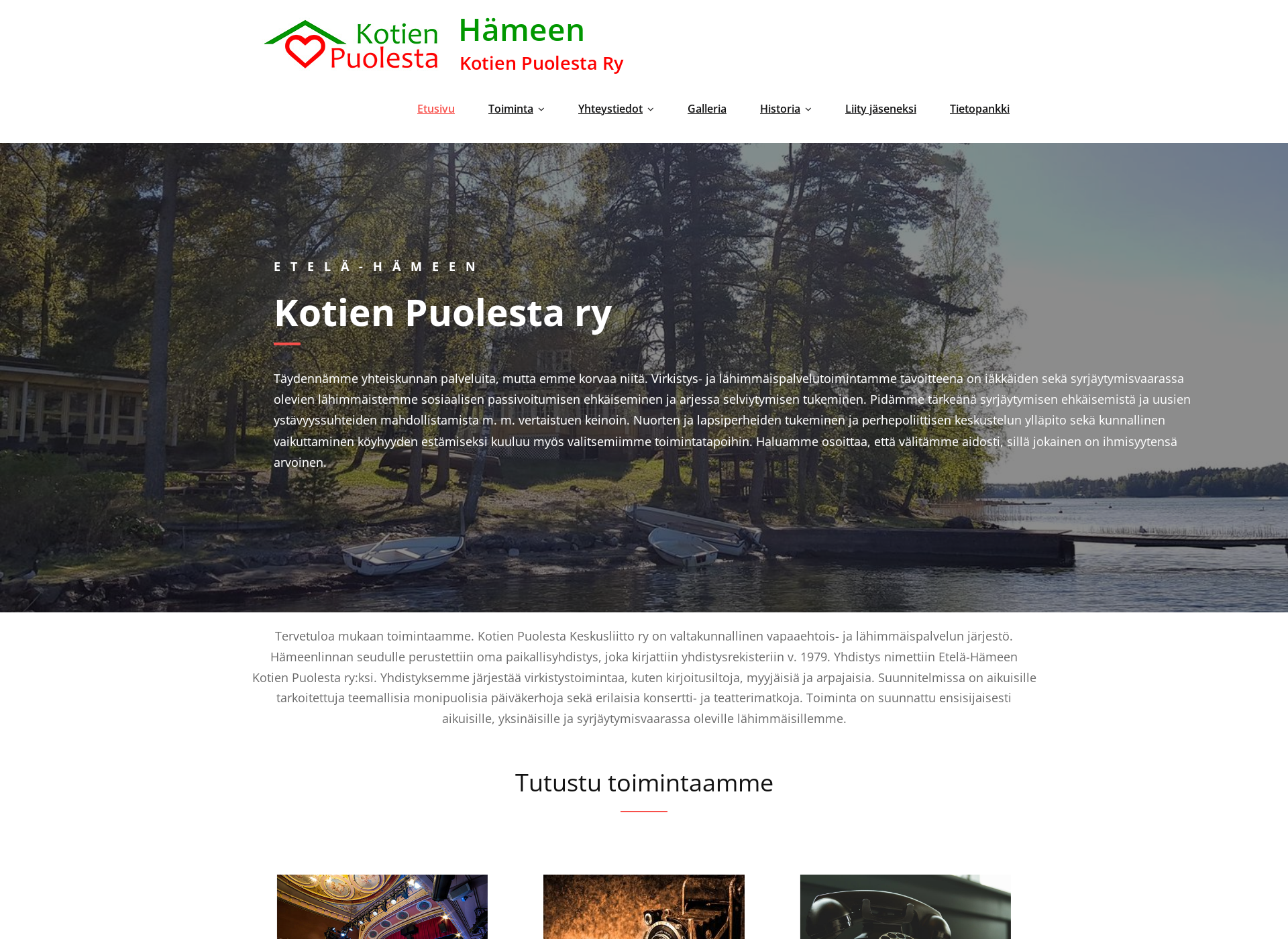 Screenshot for kotienpuolestahame.fi
