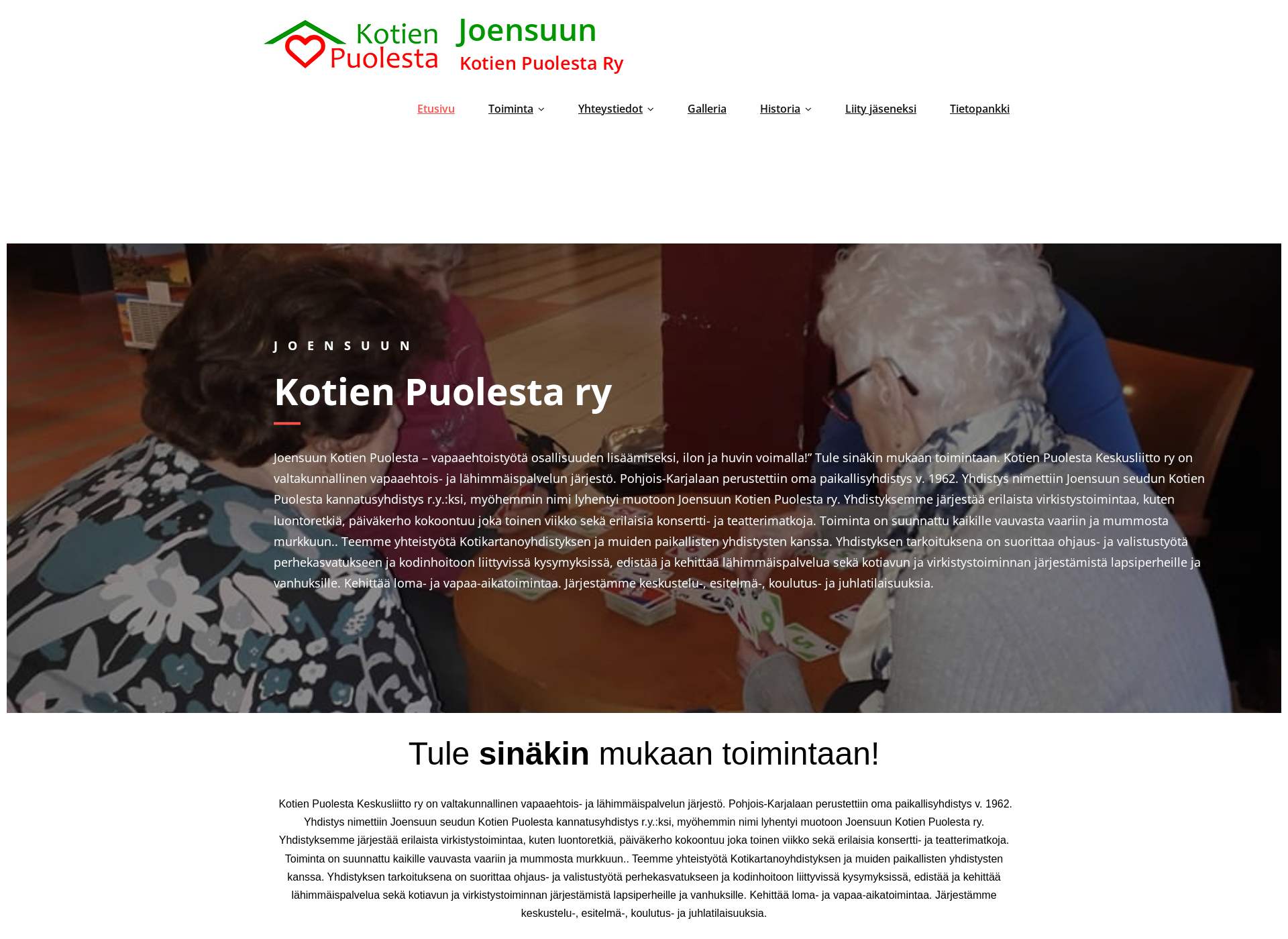 Screenshot for kotienpuolestajoensuu.fi