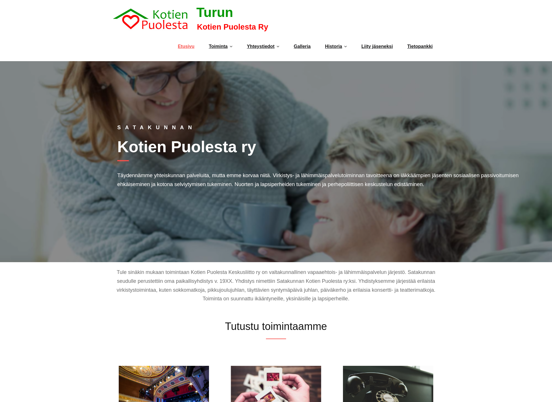 Screenshot for kotienpuolestaturku.fi