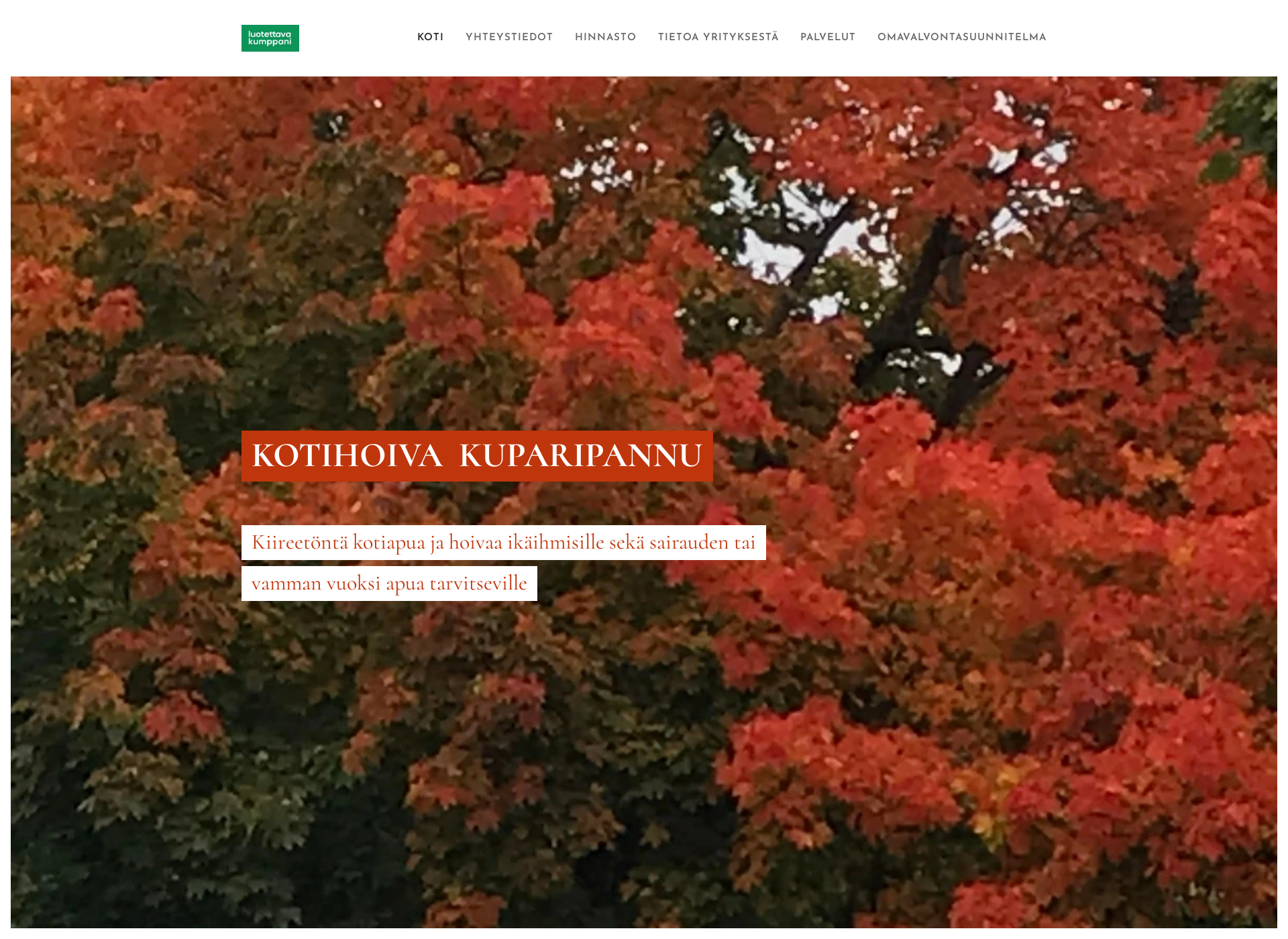 Screenshot for kotihoiva-kuparipannu.fi