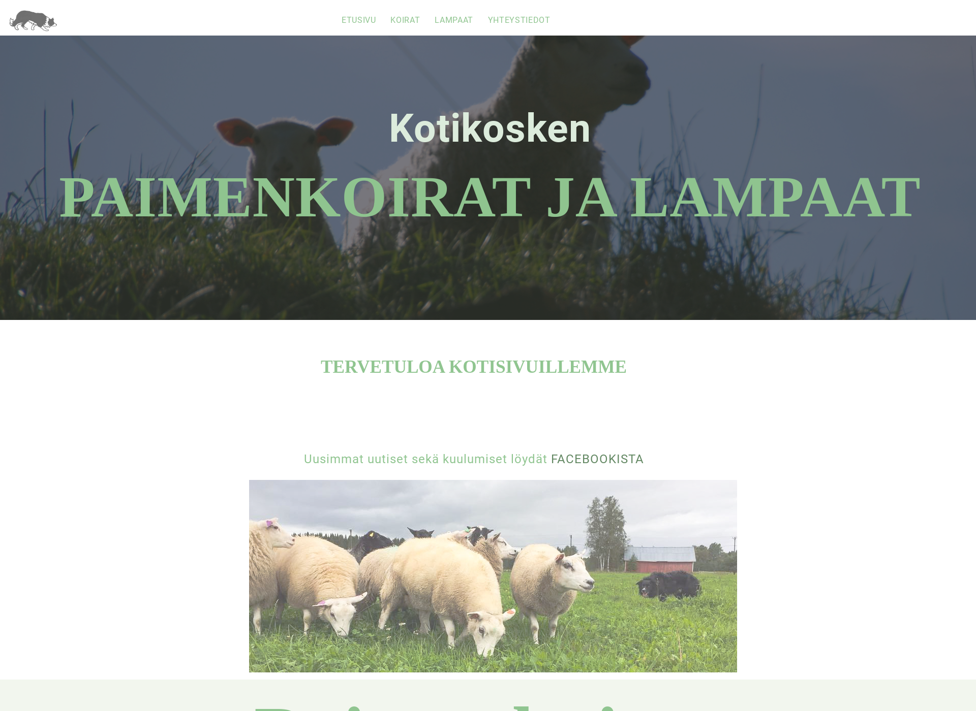 Skärmdump för kotikoski.fi