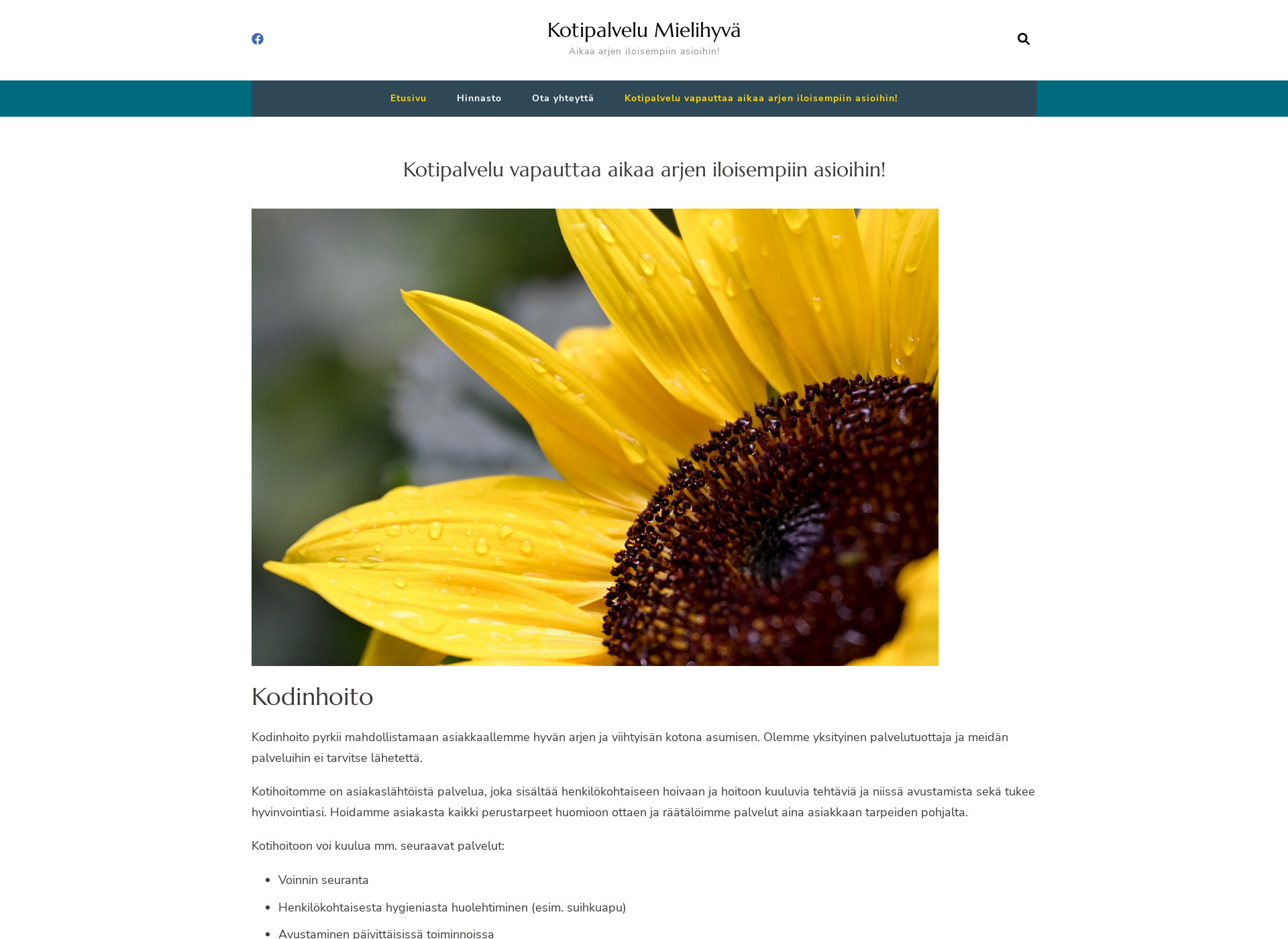 Screenshot for kotipalvelumielihyva.fi