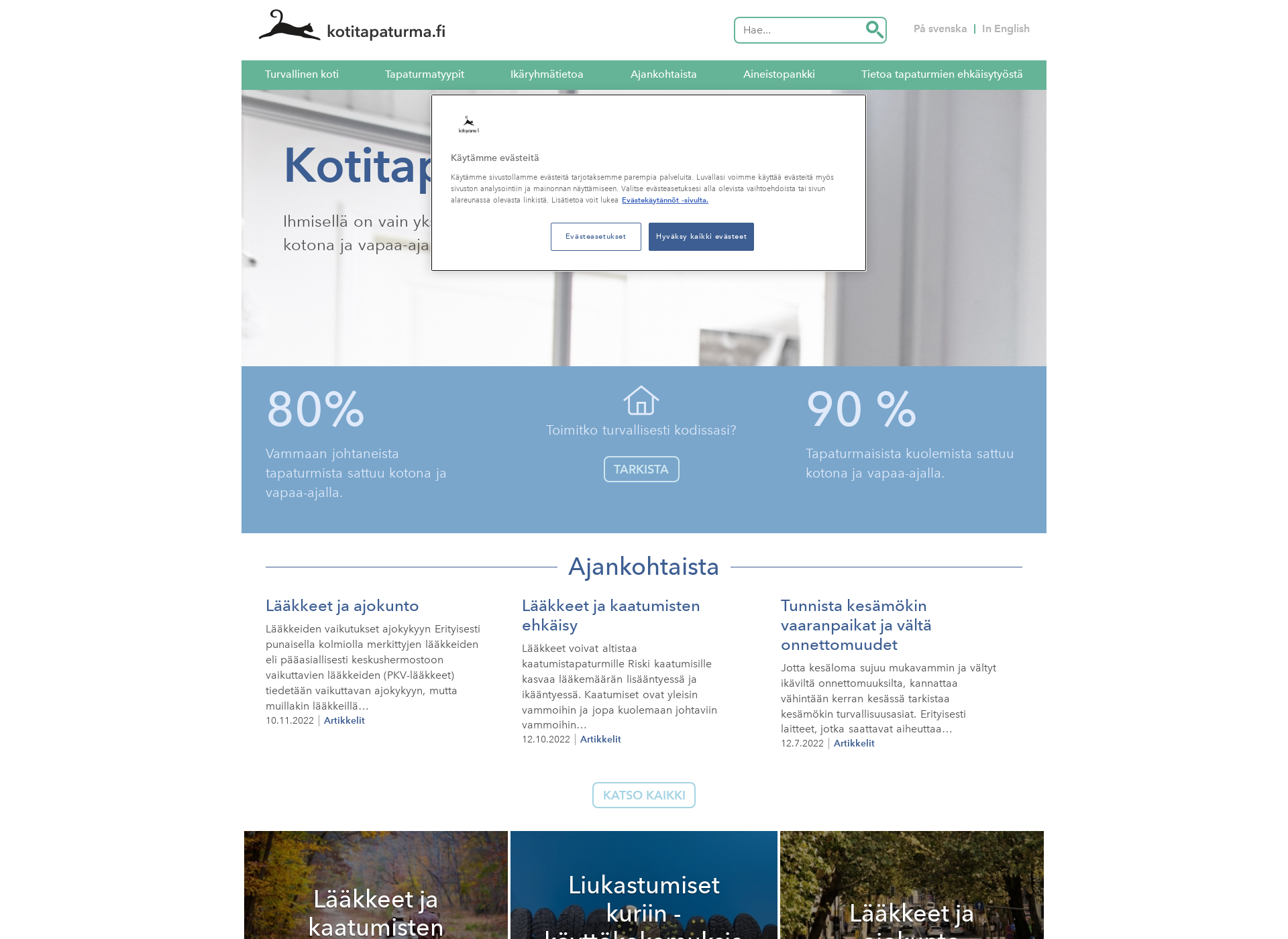 Screenshot for kotitapaturma.fi