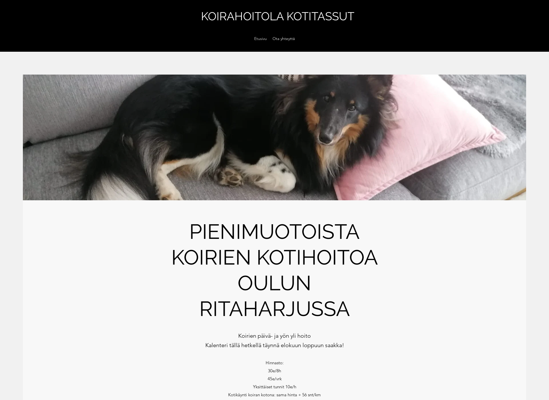Skärmdump för kotitassut.fi