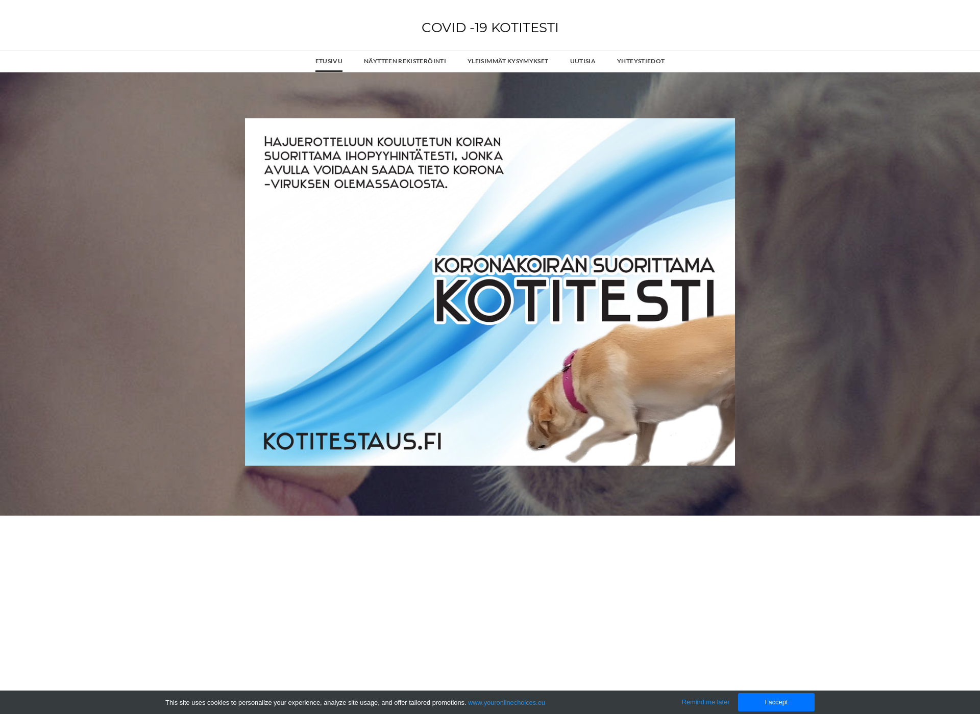 Screenshot for kotitestaus.fi