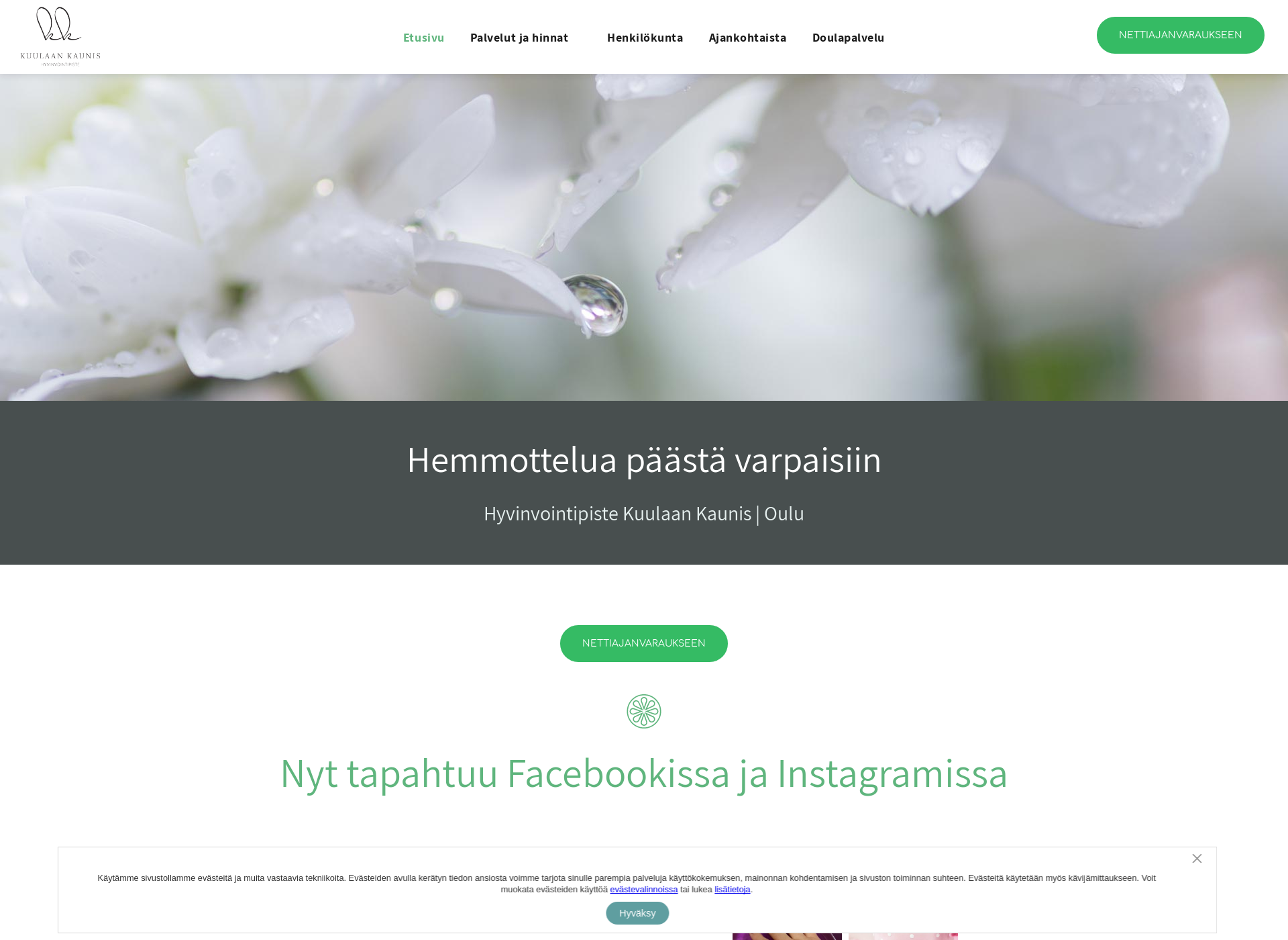 Screenshot for koulutuskeskuskirsikkapuu.fi