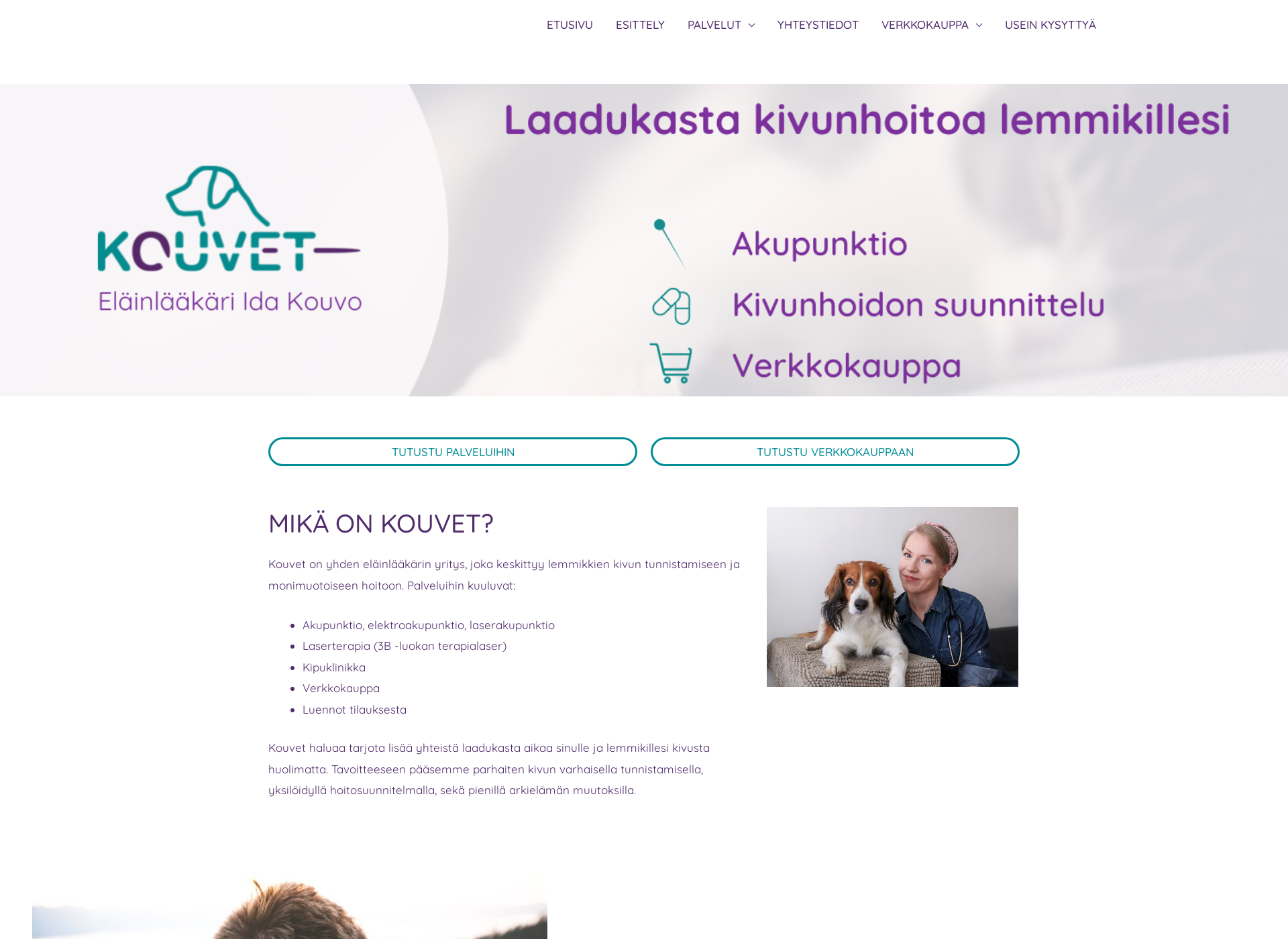 Screenshot for kouvet.fi