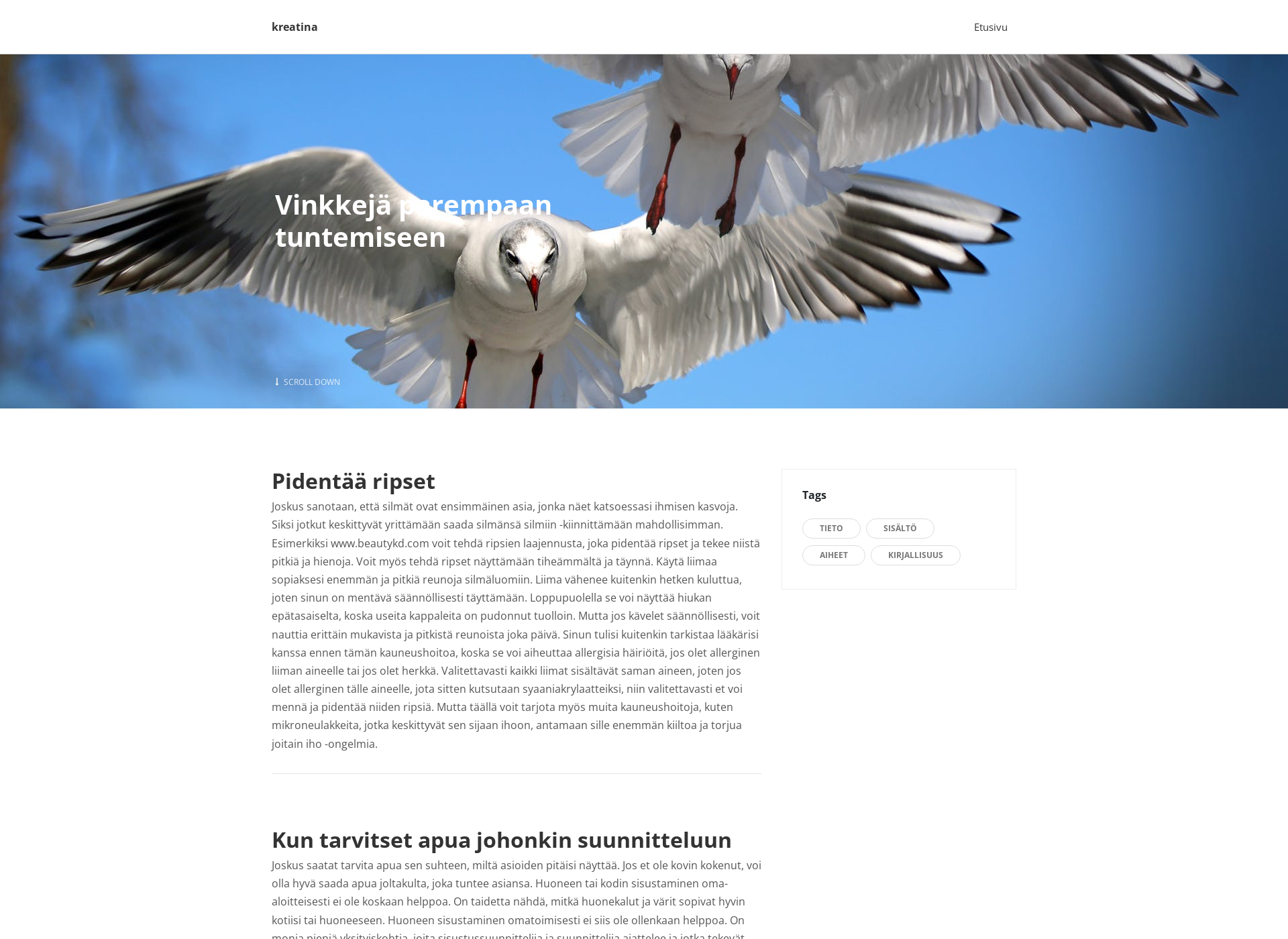 Screenshot for kreatina.fi