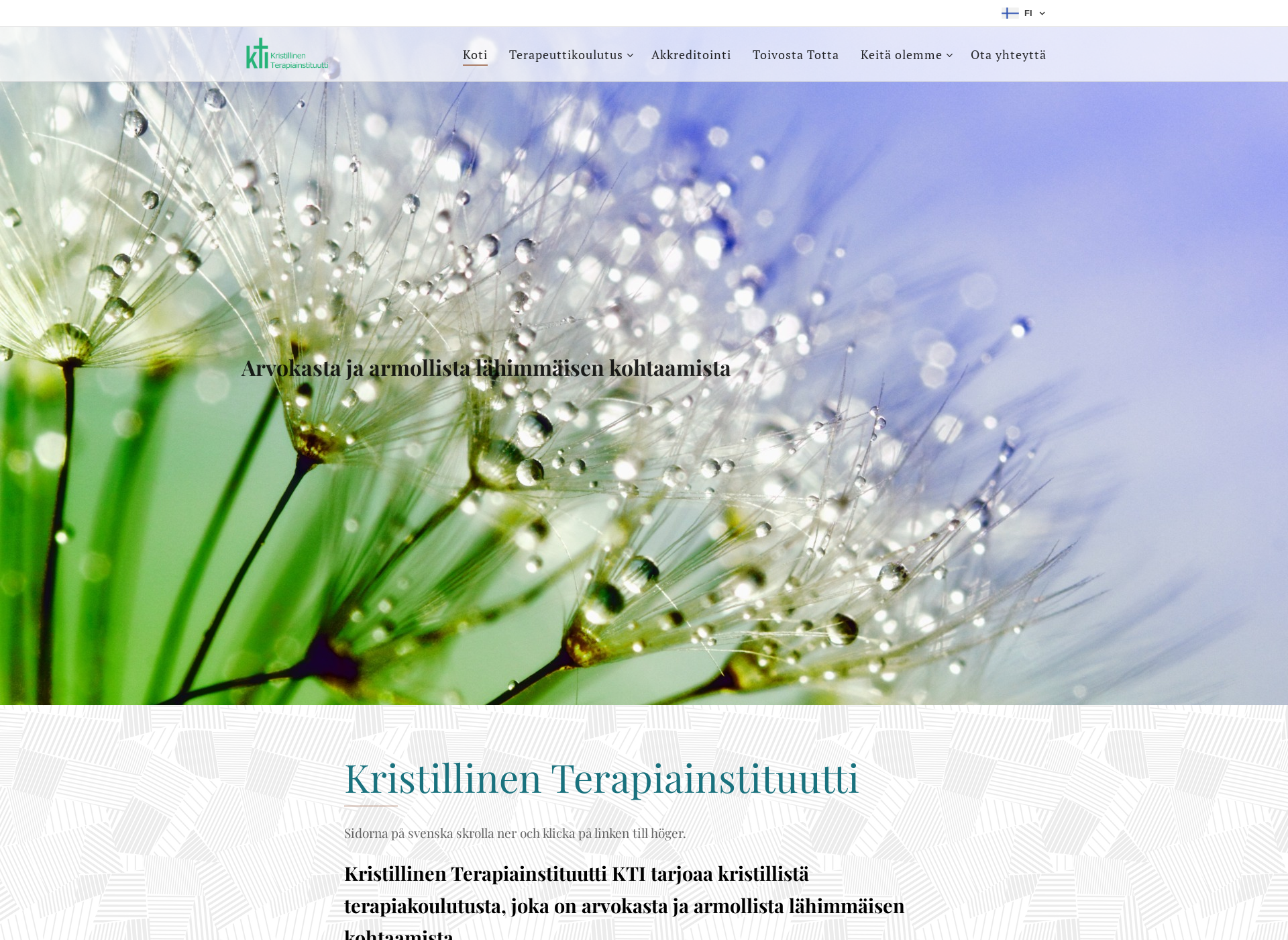 Screenshot for kristillinenterapiainstituutti.fi