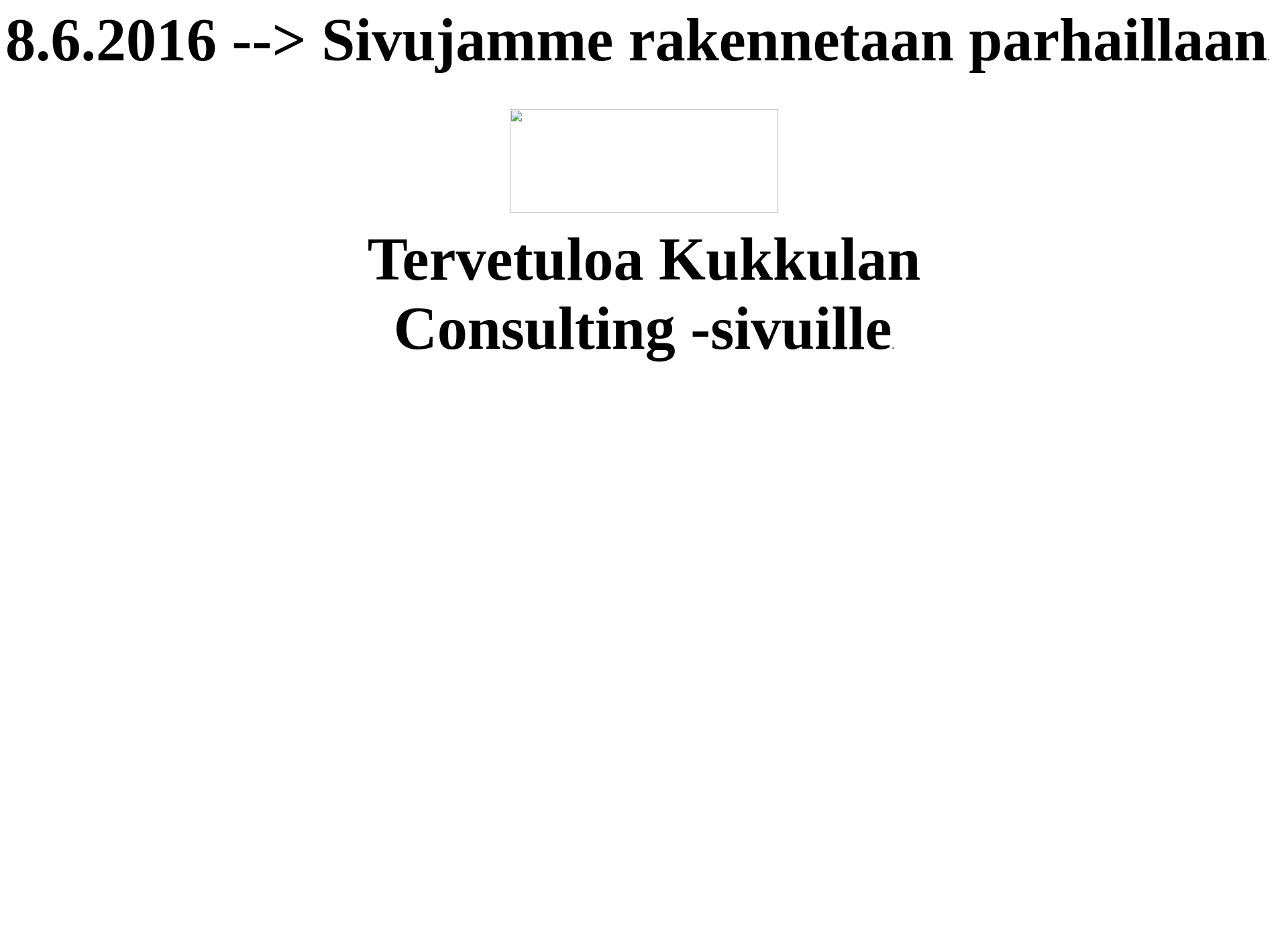 Skärmdump för kukkulanconsulting.fi