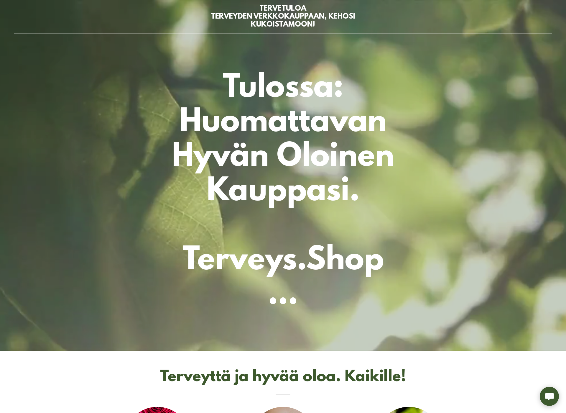 Skärmdump för kukoistamo.fi