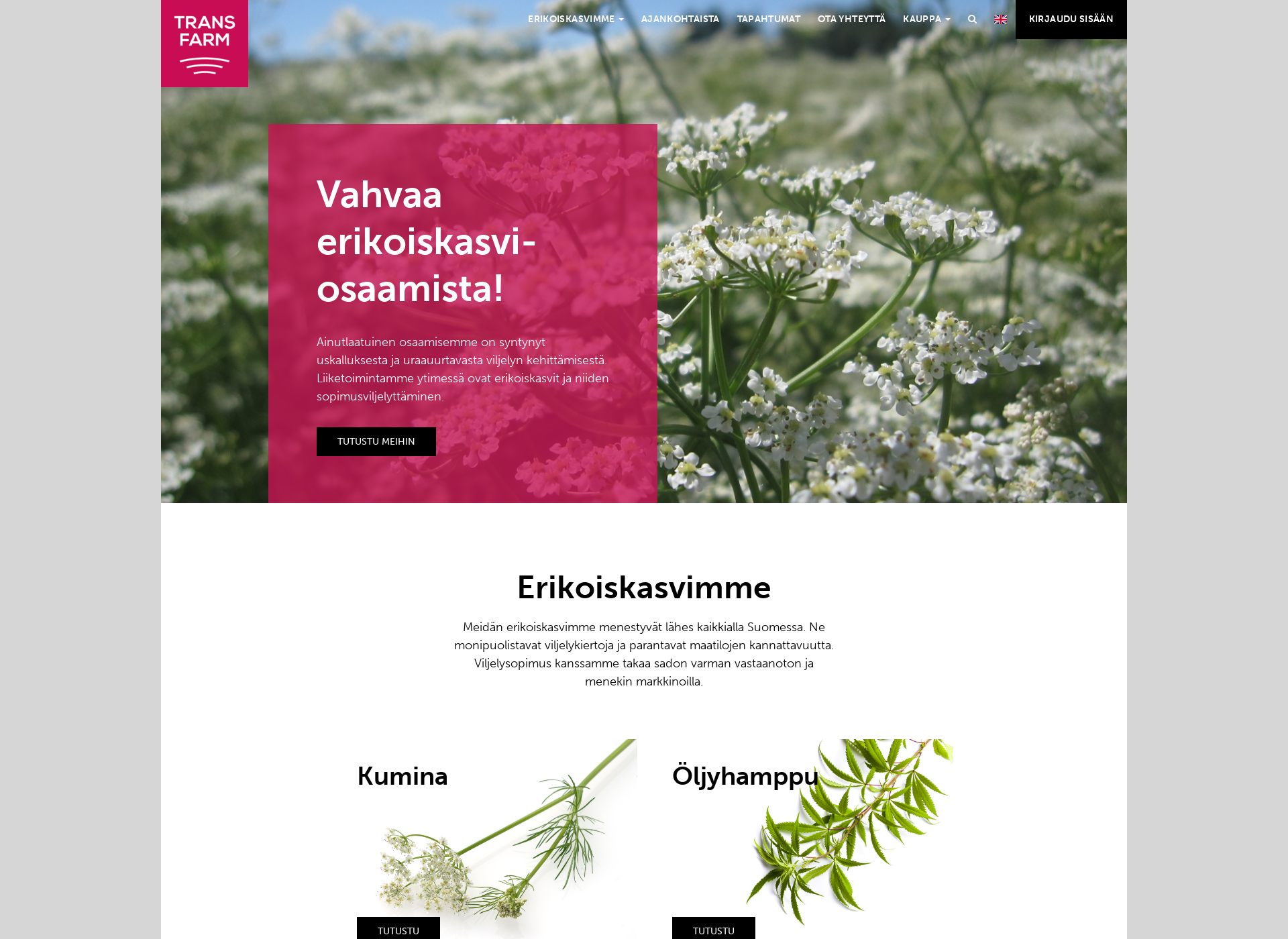 Screenshot for kumina.fi