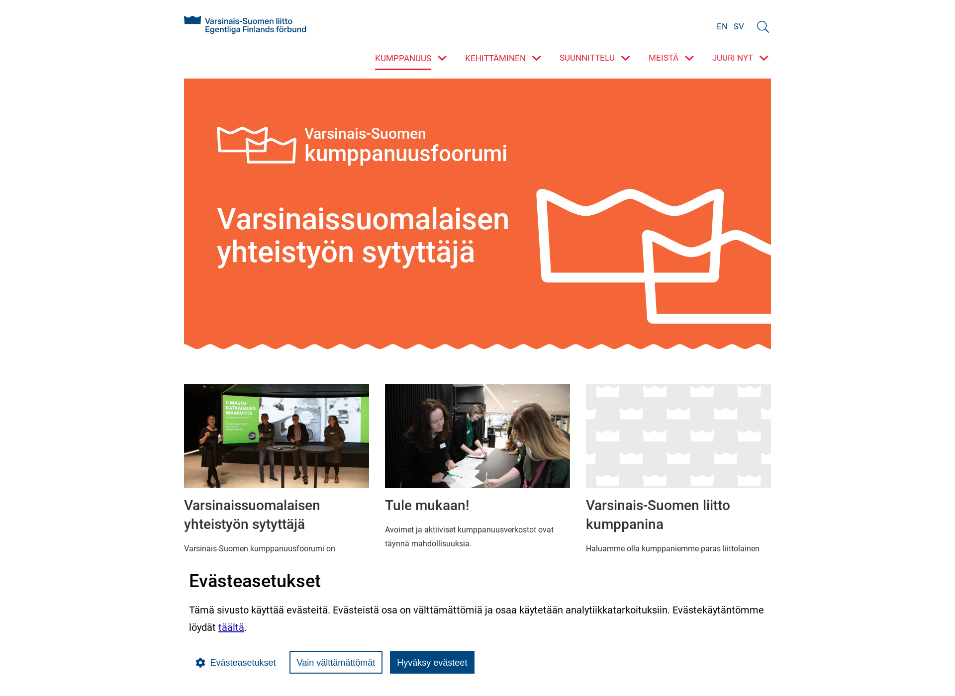 Skärmdump för kumppanuusfoorumi.fi