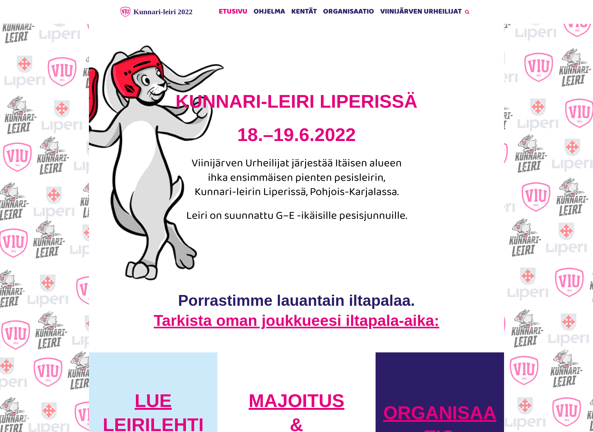 Skärmdump för kunnarileiri.fi