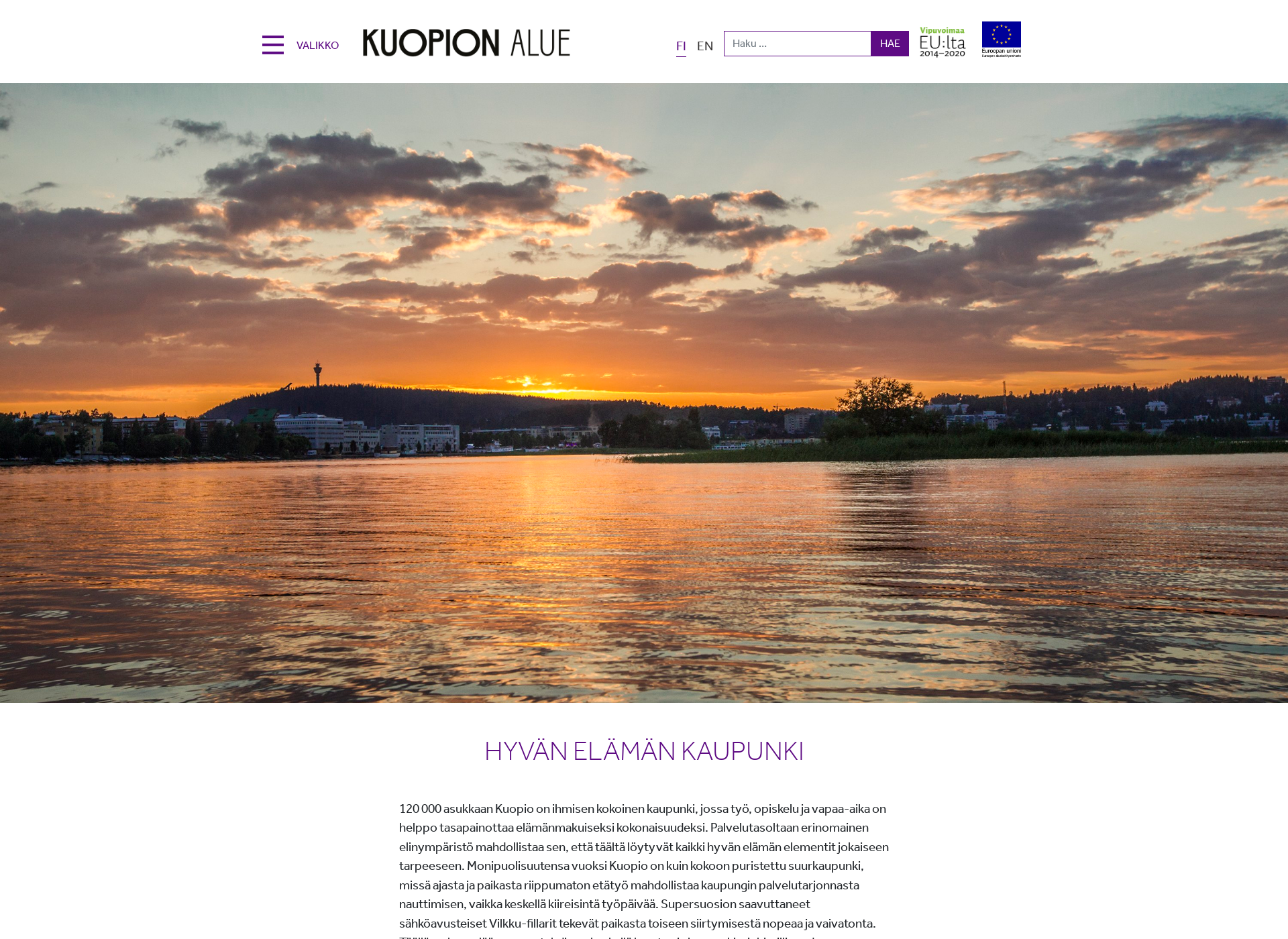 Skärmdump för kuopioregion.fi