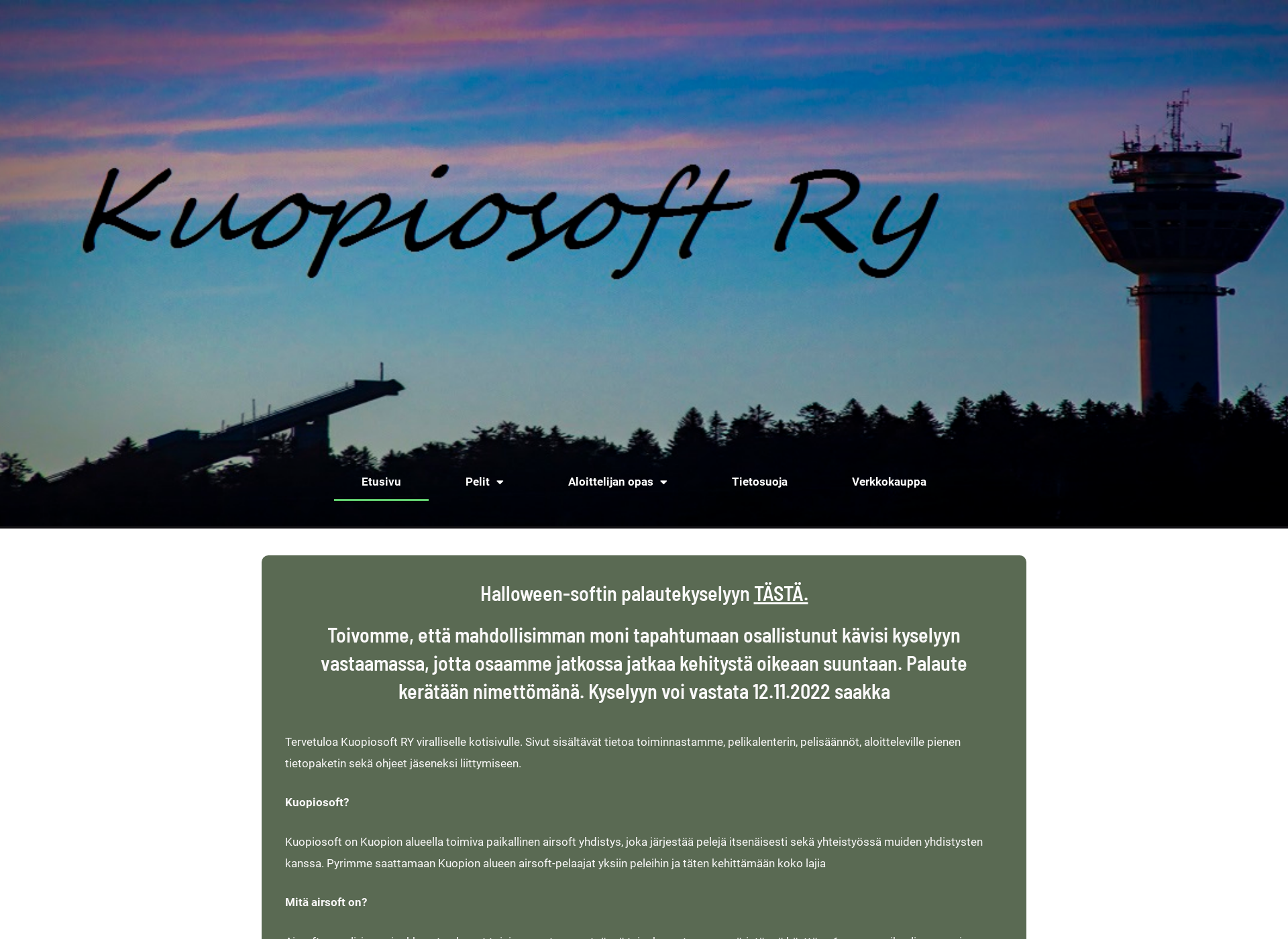 Screenshot for kuopiosoft.fi