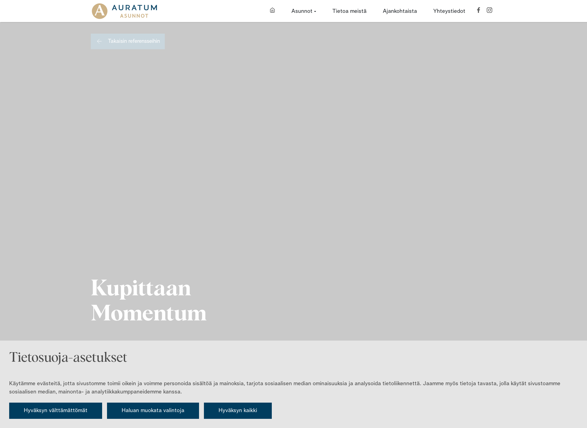 Skärmdump för kupittaanmomentum.fi