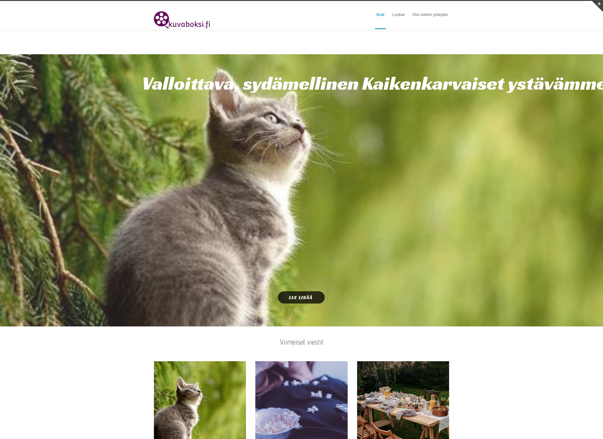 Screenshot for kuvaboksi.fi