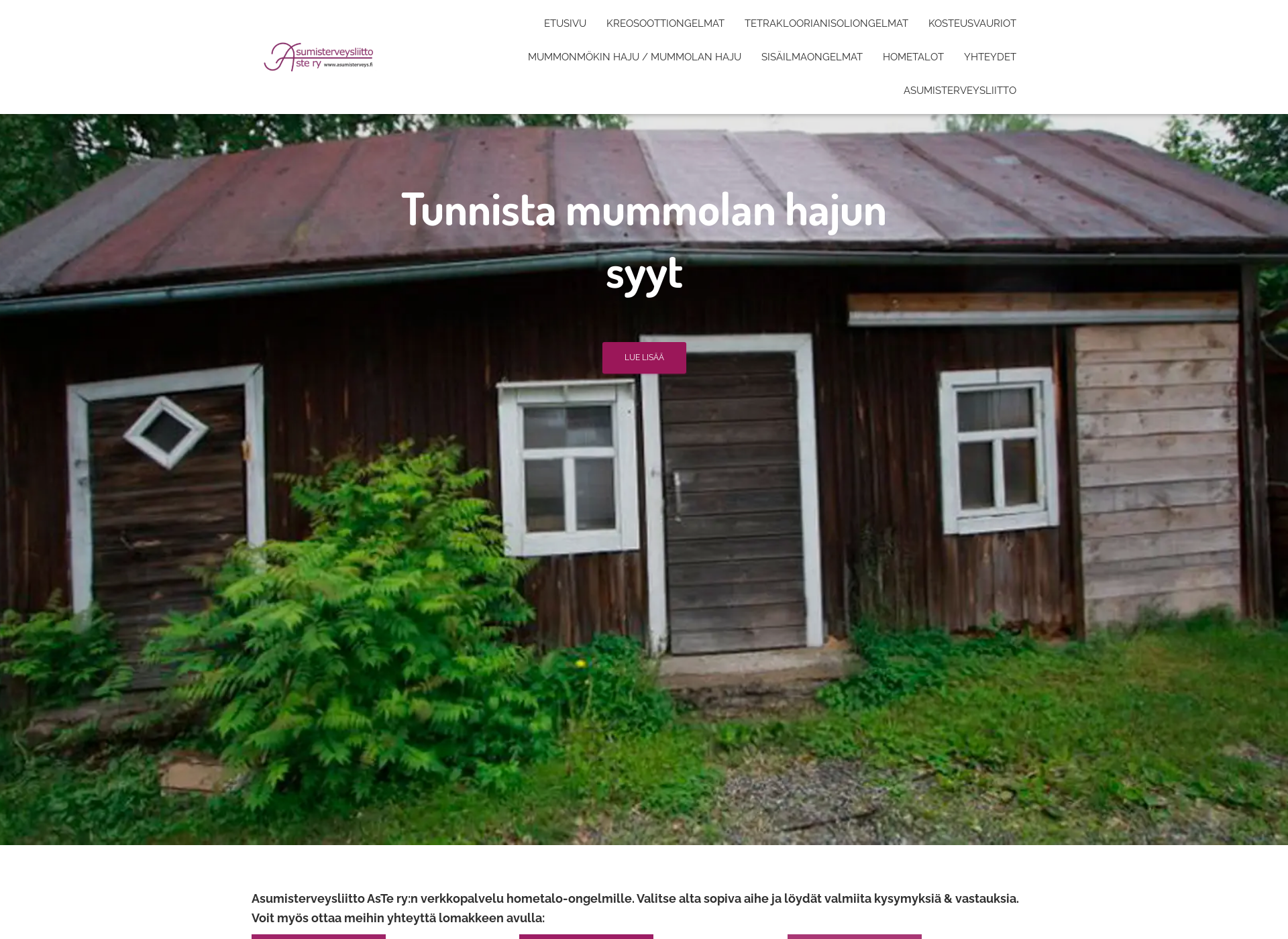 Skärmdump för kysymummolanhajusta.fi
