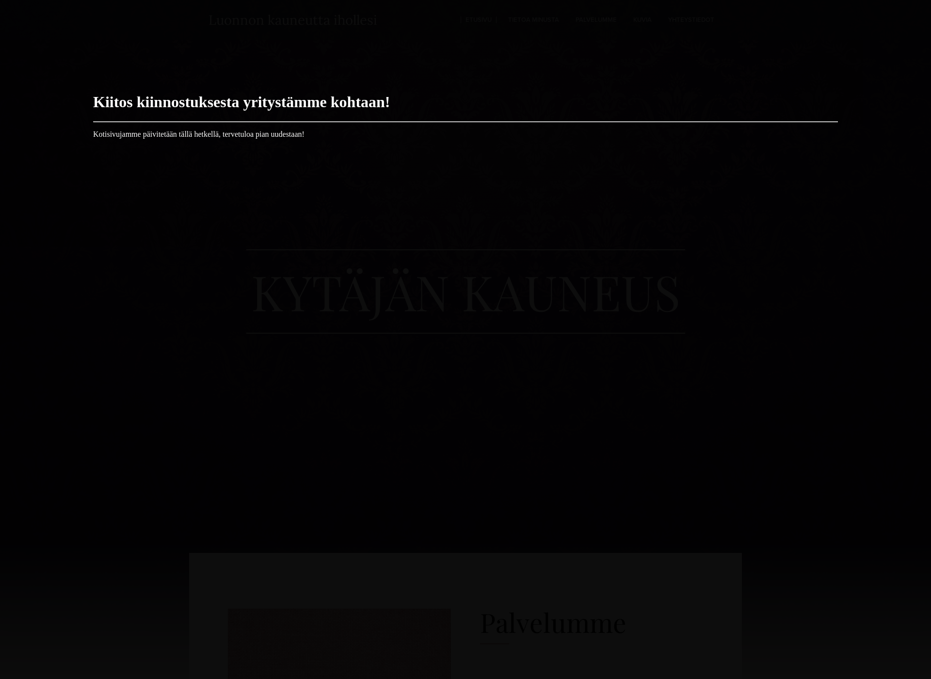 Screenshot for kytajankauneus.fi
