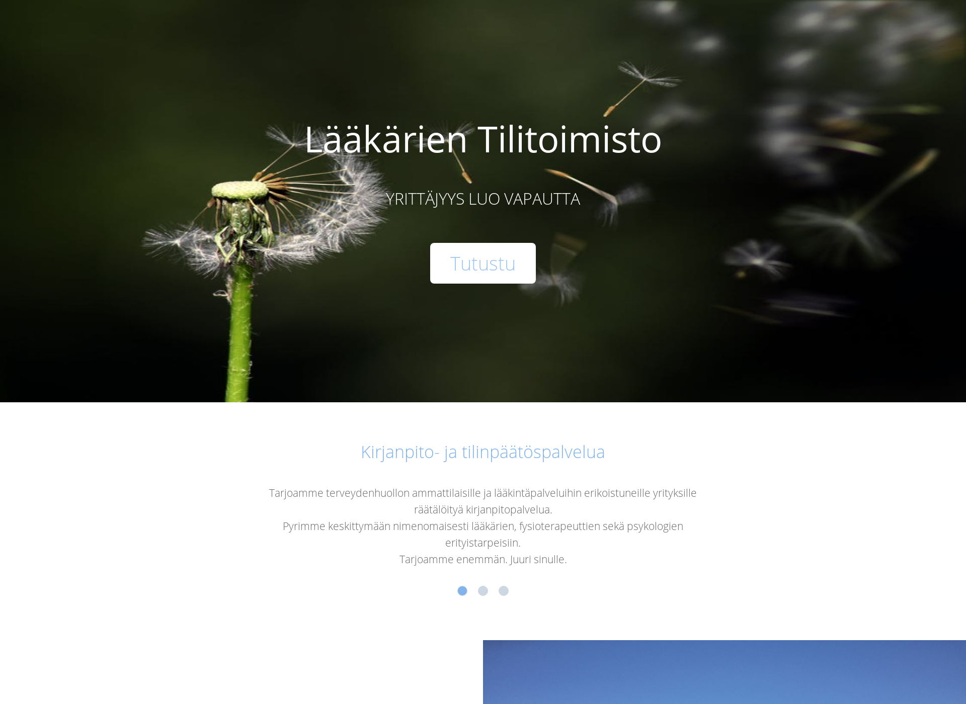 Screenshot for laakarientilitoimisto.fi