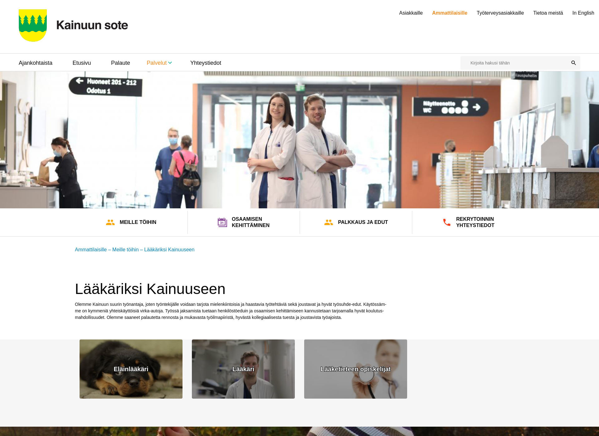 Skärmdump för laakariksikainuuseen.fi